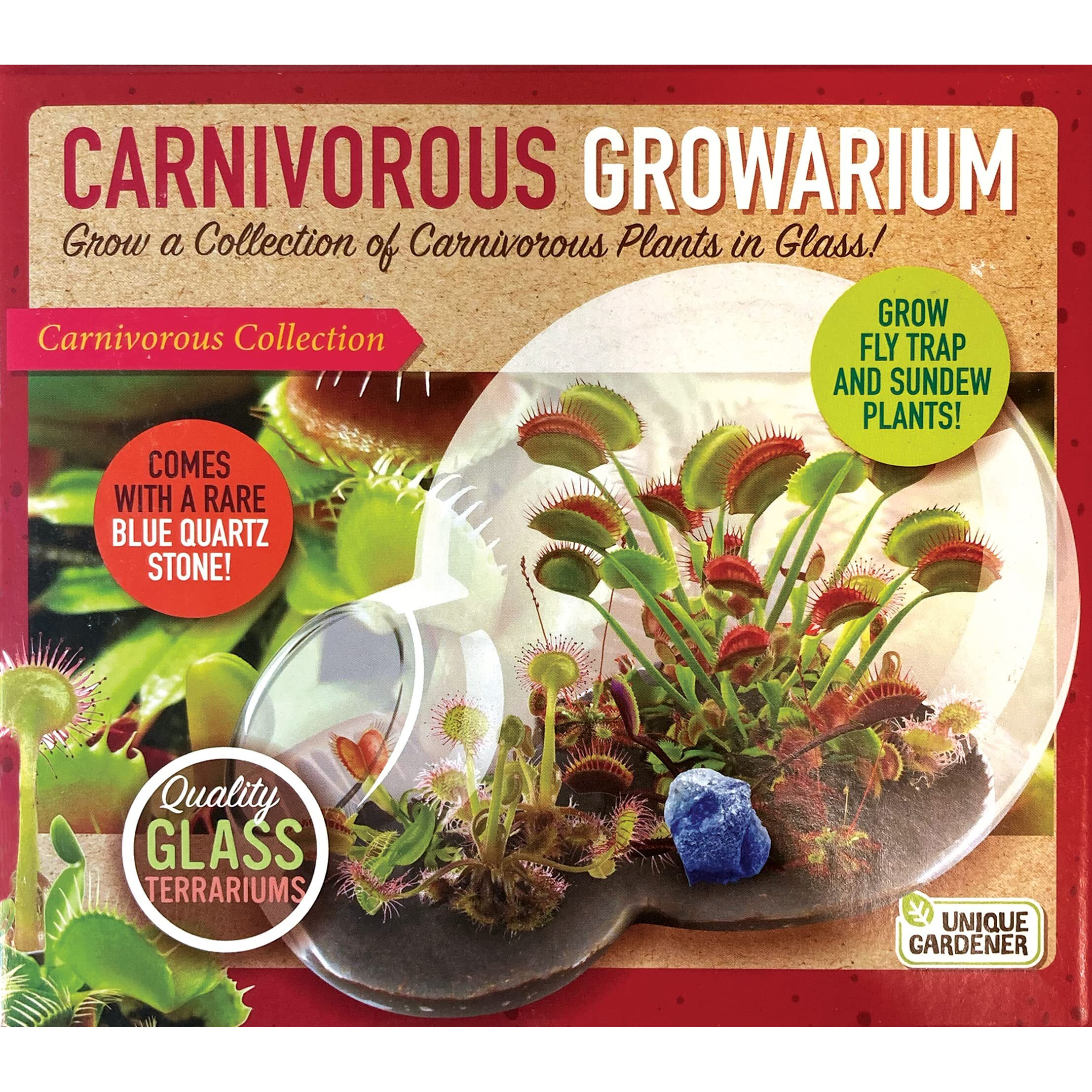 Grow Your Own Venus Fly Trap - Complete Kids Terrarium Kit To Sprout Fly Trap And Sundew Plants - Includes Everything Needed For The Plants To Thrive