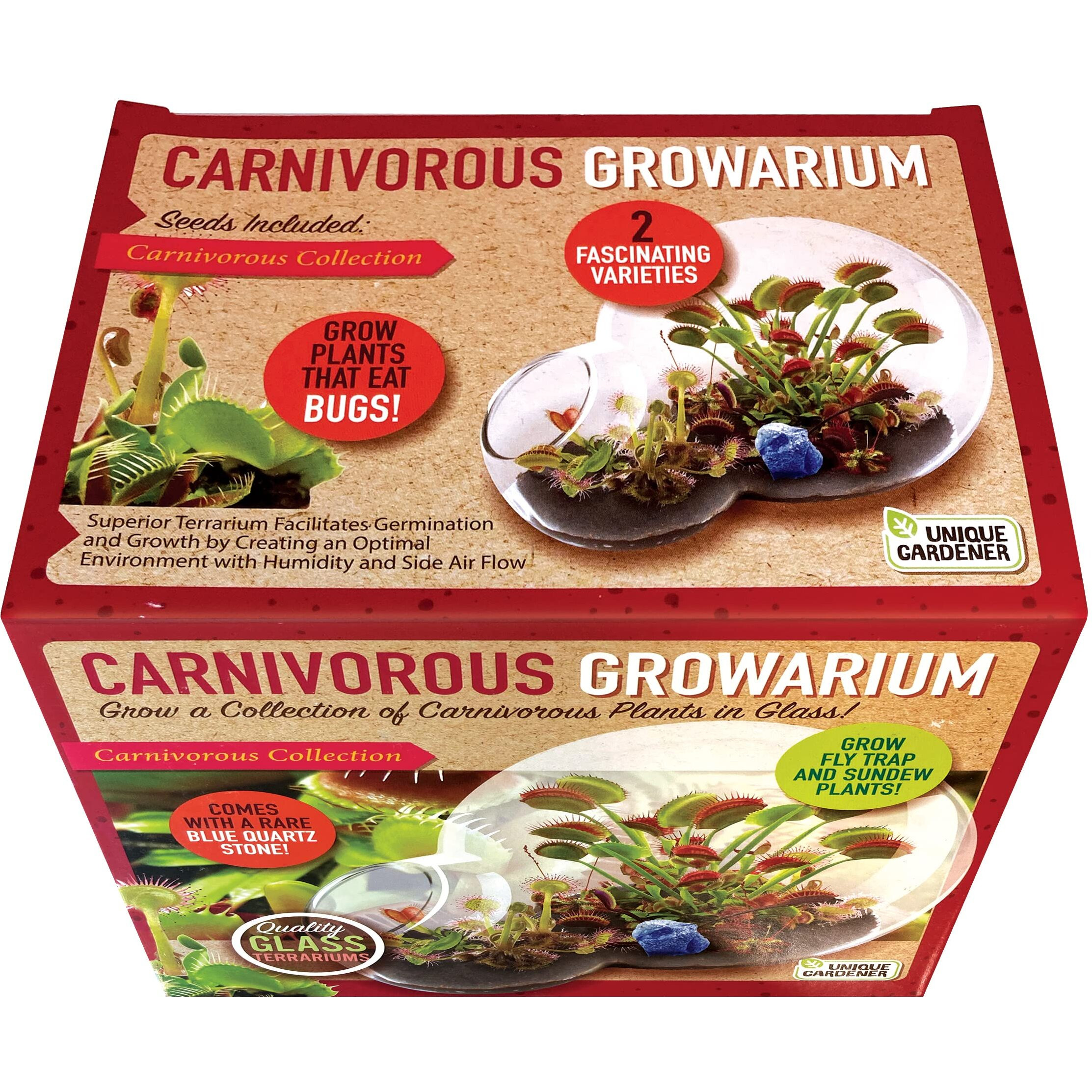 Grow Your Own Venus Fly Trap - Complete Kids Terrarium Kit To Sprout Fly Trap And Sundew Plants - Includes Everything Needed For The Plants To Thrive