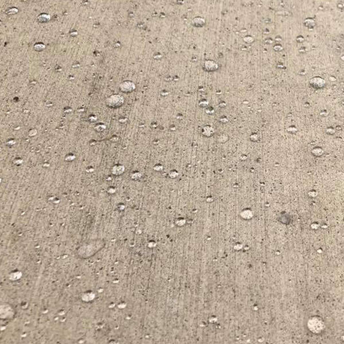 Eco Advance Concrete/Masonry Siloxane Odorless Spray-On Application Waterproofer Concentrate  Safe For Use Around Plants  Pets  And People  1 Gallon