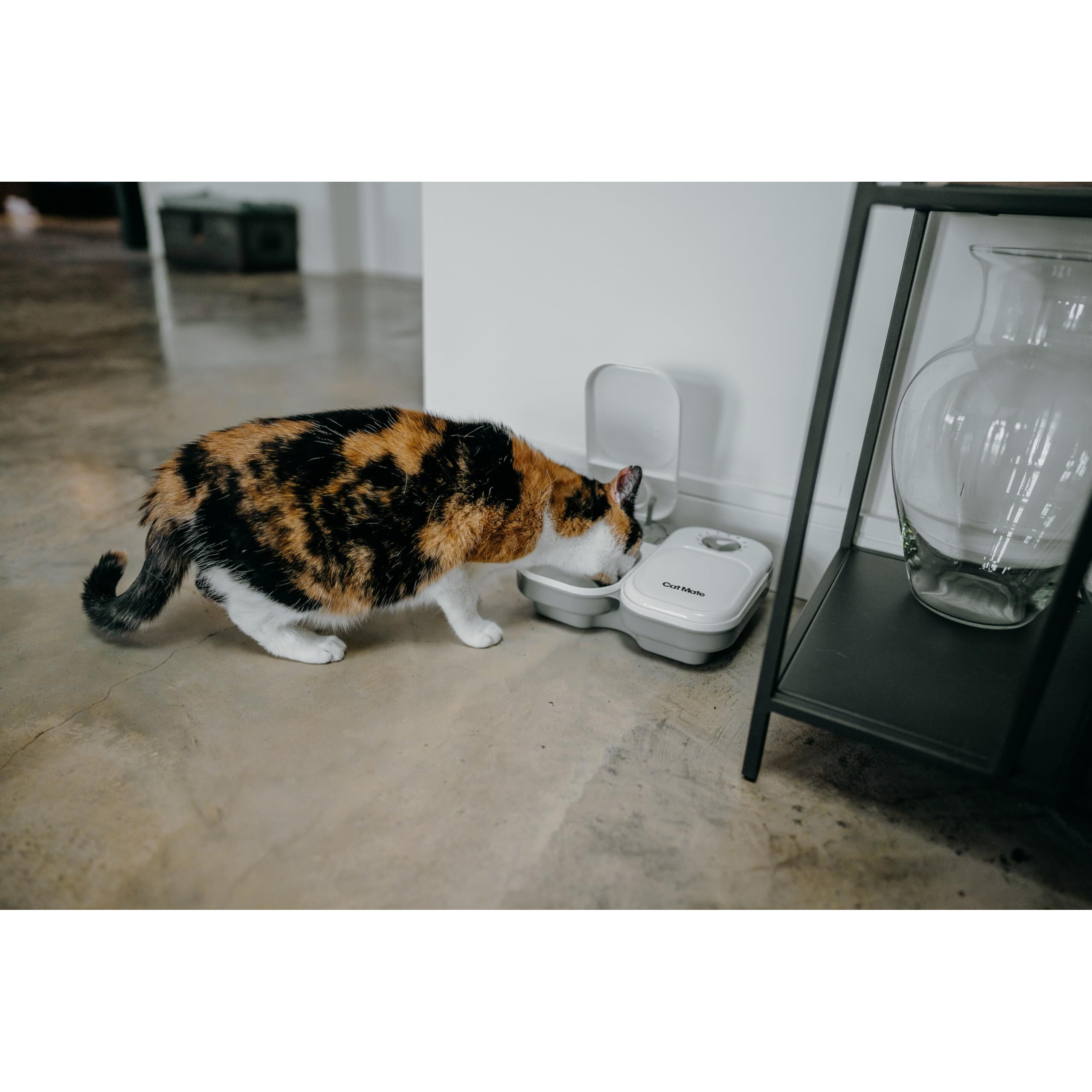 Cat Mate C200 2-Meal Automatic Pet Feeder For Cats And Small Dogs With Ice Pack