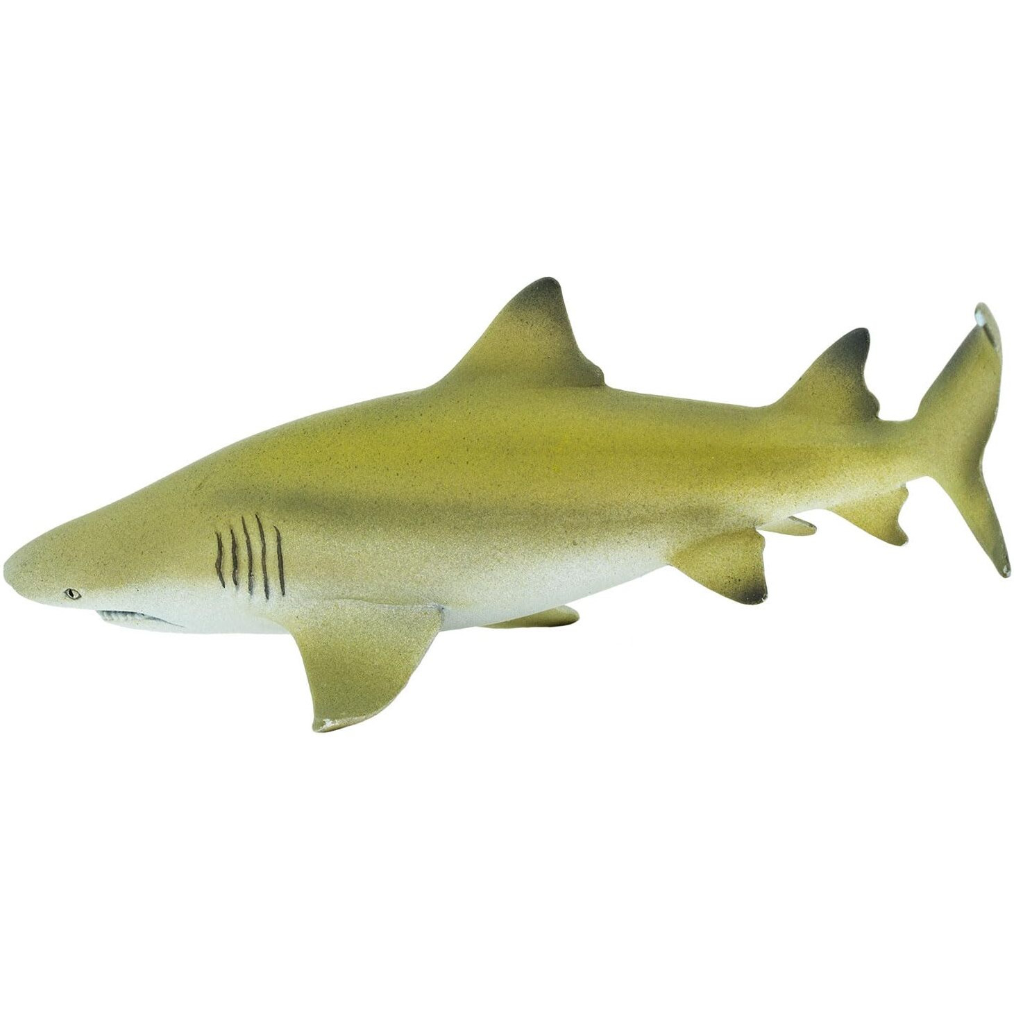 Safari Ltd. Lemon Shark Figurine- Realistic 5.75"" Plasticfigure - Educational Toy For Boys  Girls And Kids Ages 3+