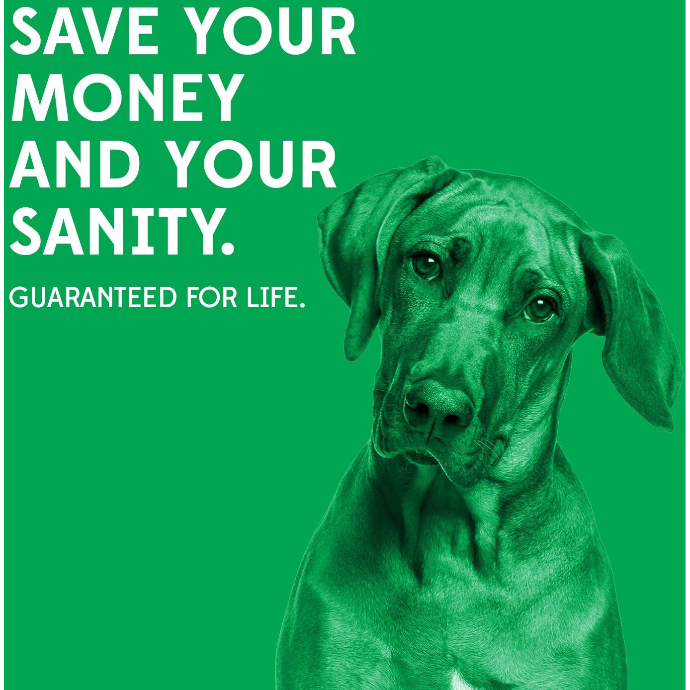 Goughnuts - Dog Toys For Aggressive Chewers | Virtually Indestructible Dog Toys For Breeds Such As Pit Bulls And German Shepherds | Heavy Duty Rubber Stick Toy | Large