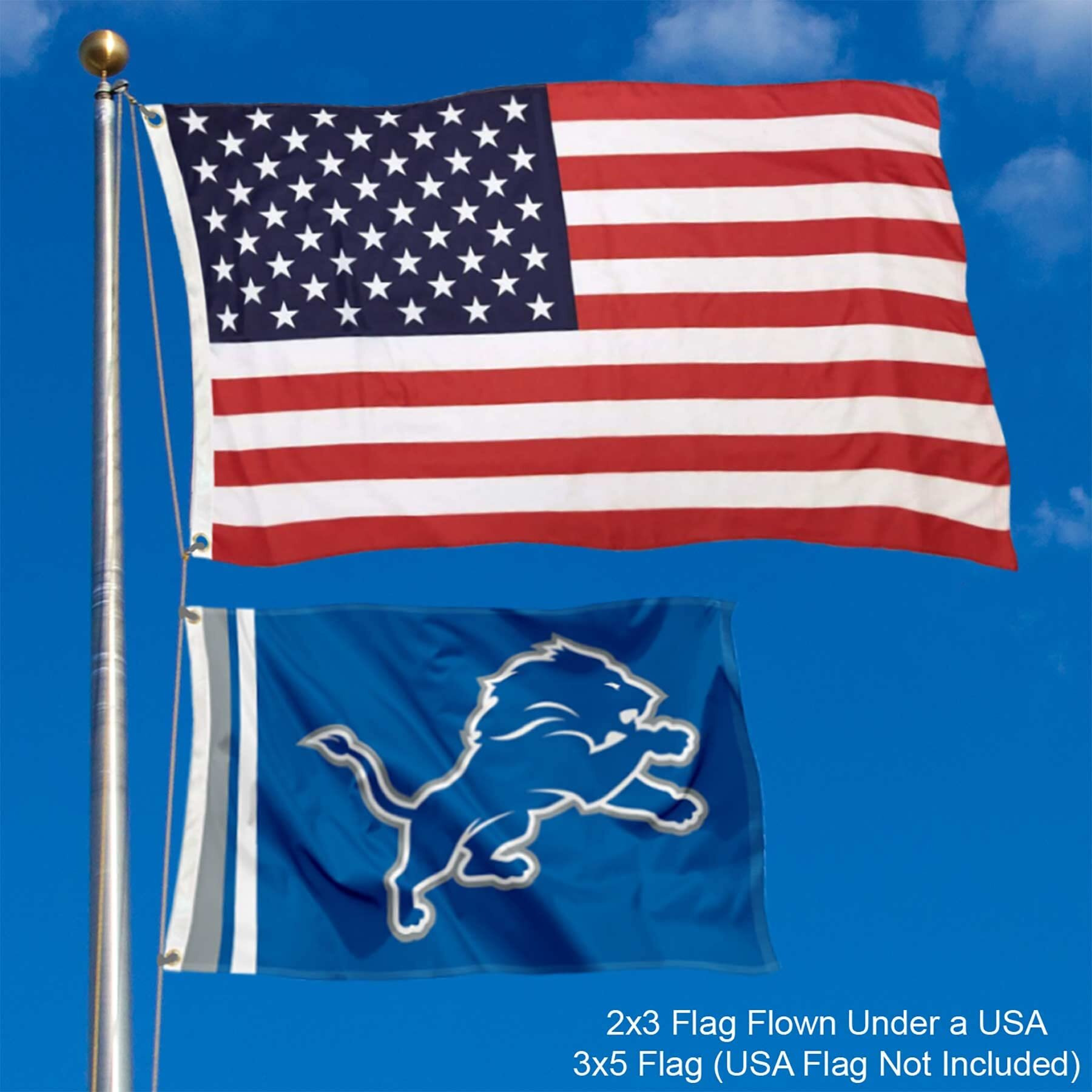 Detroit Lions Wordmark 2X3 Foot Small Flag