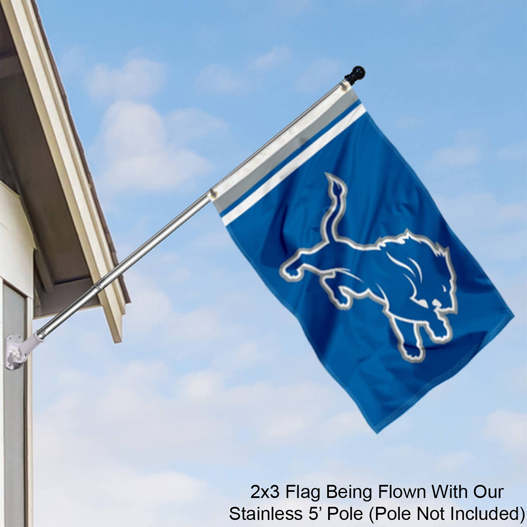 Detroit Lions Wordmark 2X3 Foot Small Flag