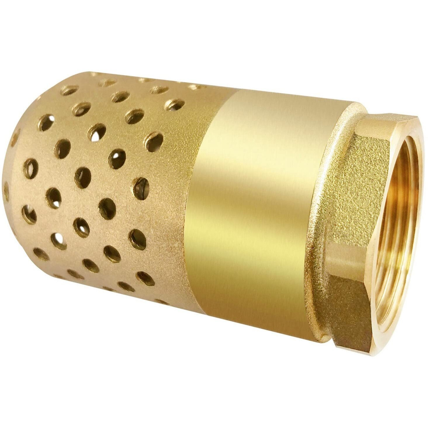 Brass Foot Valve  2 Inch Npt Spring Mesh Check Valve Female Connection One Way Foot Valve Backflow Preventer With Holes Strainer Filter(2'' Npt)