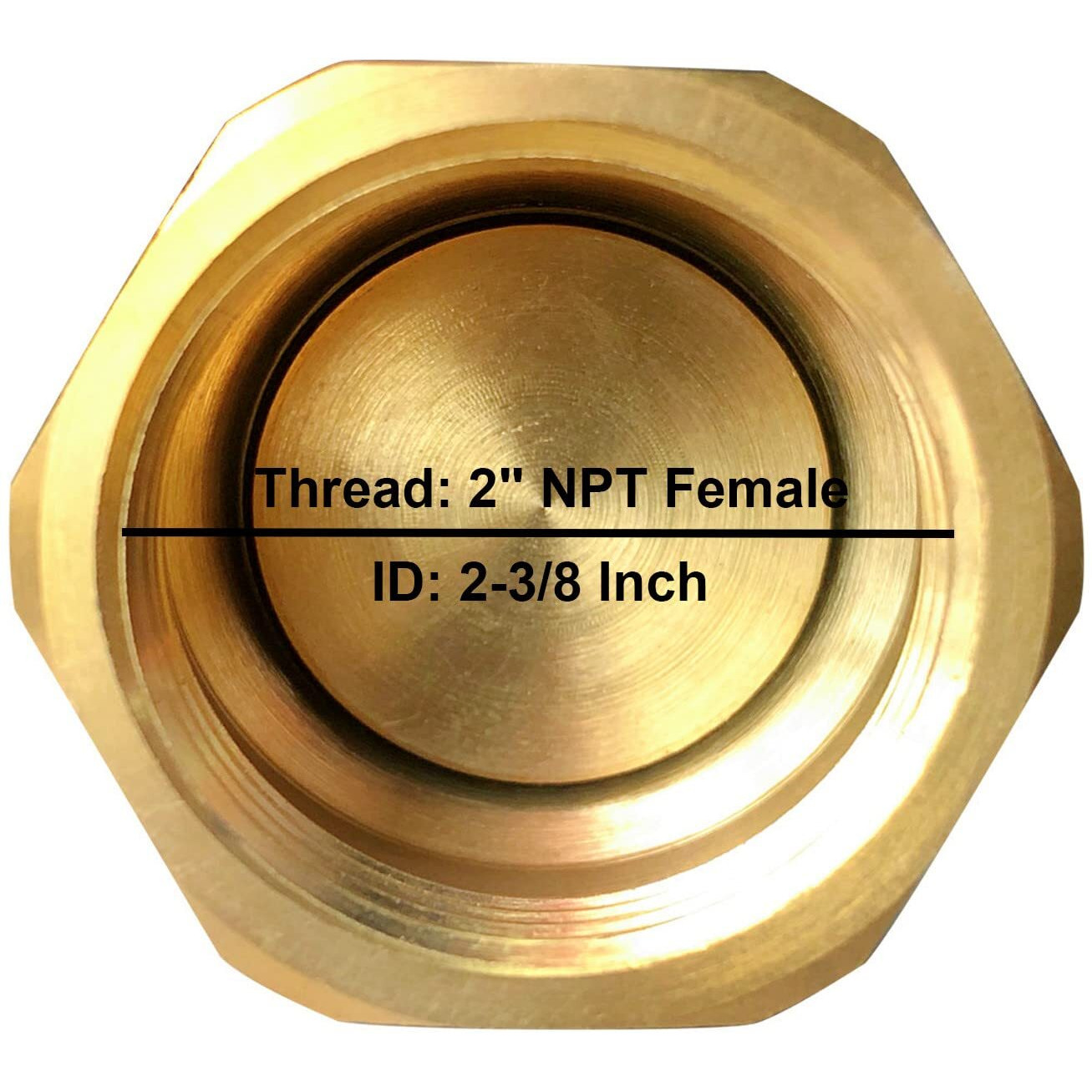 Brass Foot Valve  2 Inch Npt Spring Mesh Check Valve Female Connection One Way Foot Valve Backflow Preventer With Holes Strainer Filter(2'' Npt)