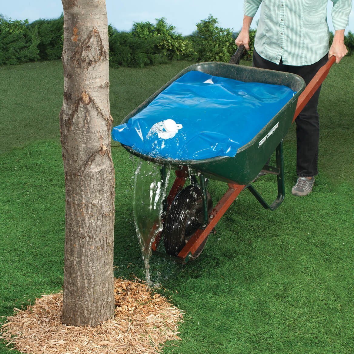 Bw Brands 20 Gallon Wheelbarrow Water Bag