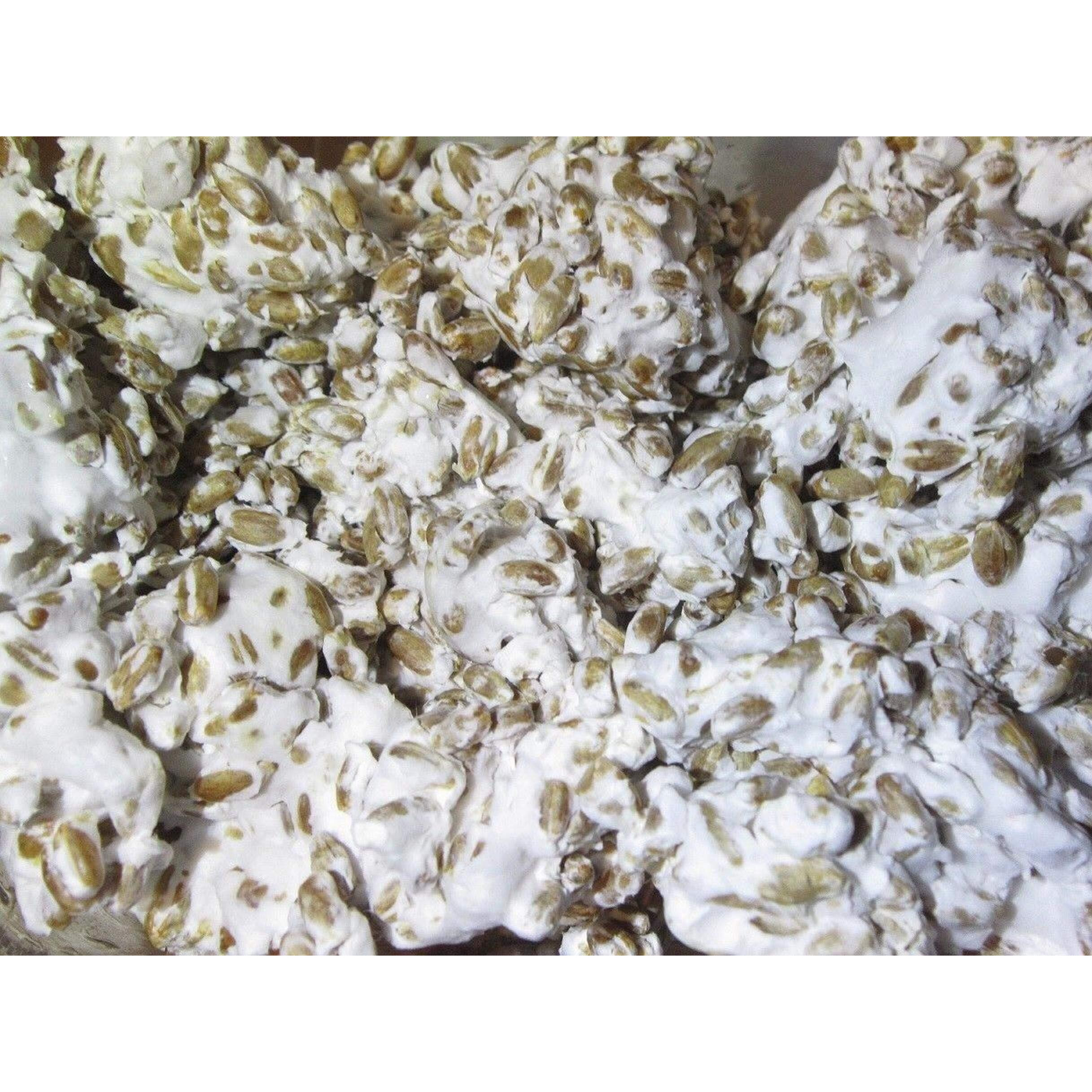 100 Grams Of White Button Mushroom Spawn Mycelium To Grow Gourmet Mushrooms At Home Or Commercially - G1 Or G2 Spawn