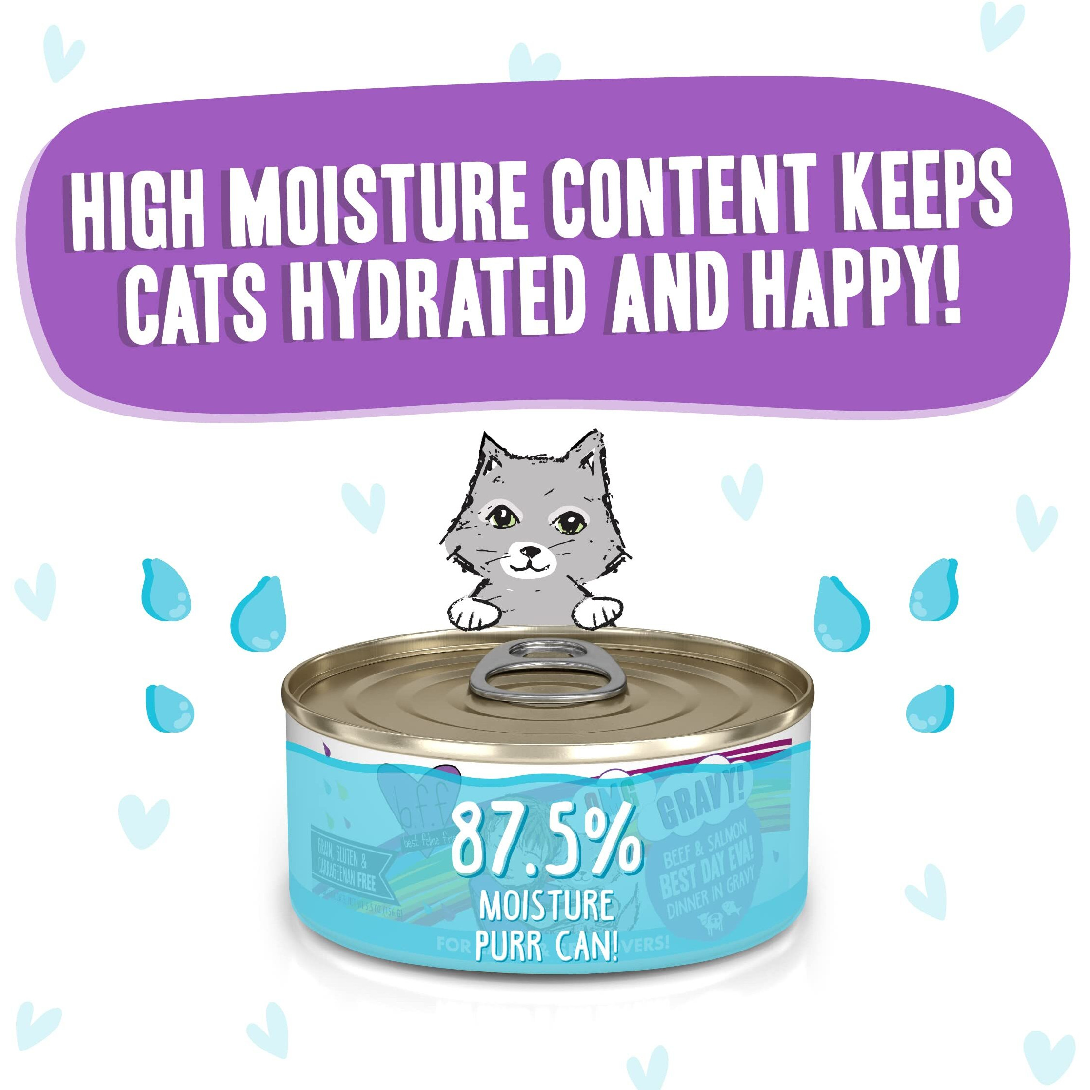 Weruva B.F.F. Omg - Best Feline Friend Oh My Gravy  Best Day Eva With Beef & Salmon In Gravy Cat Food  5.5Oz Can (Pack Of 8)