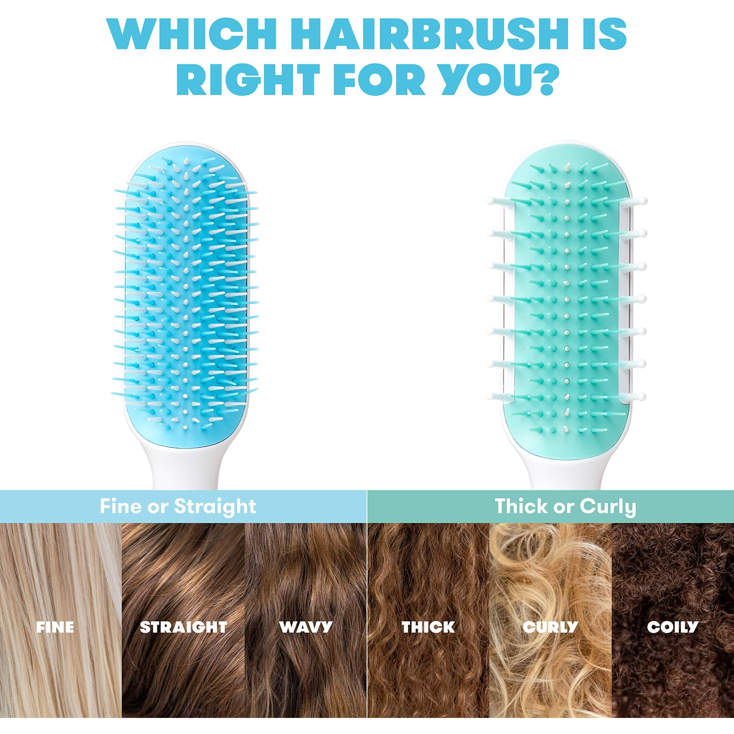 Frida Baby Thick Or Curly Hair Detangler Brush For Kids  Toddler Hairbrush Detangles Knots Without Tears Or Breakage  Comb Teeth And Bristle Design  White/Blue  1 Count