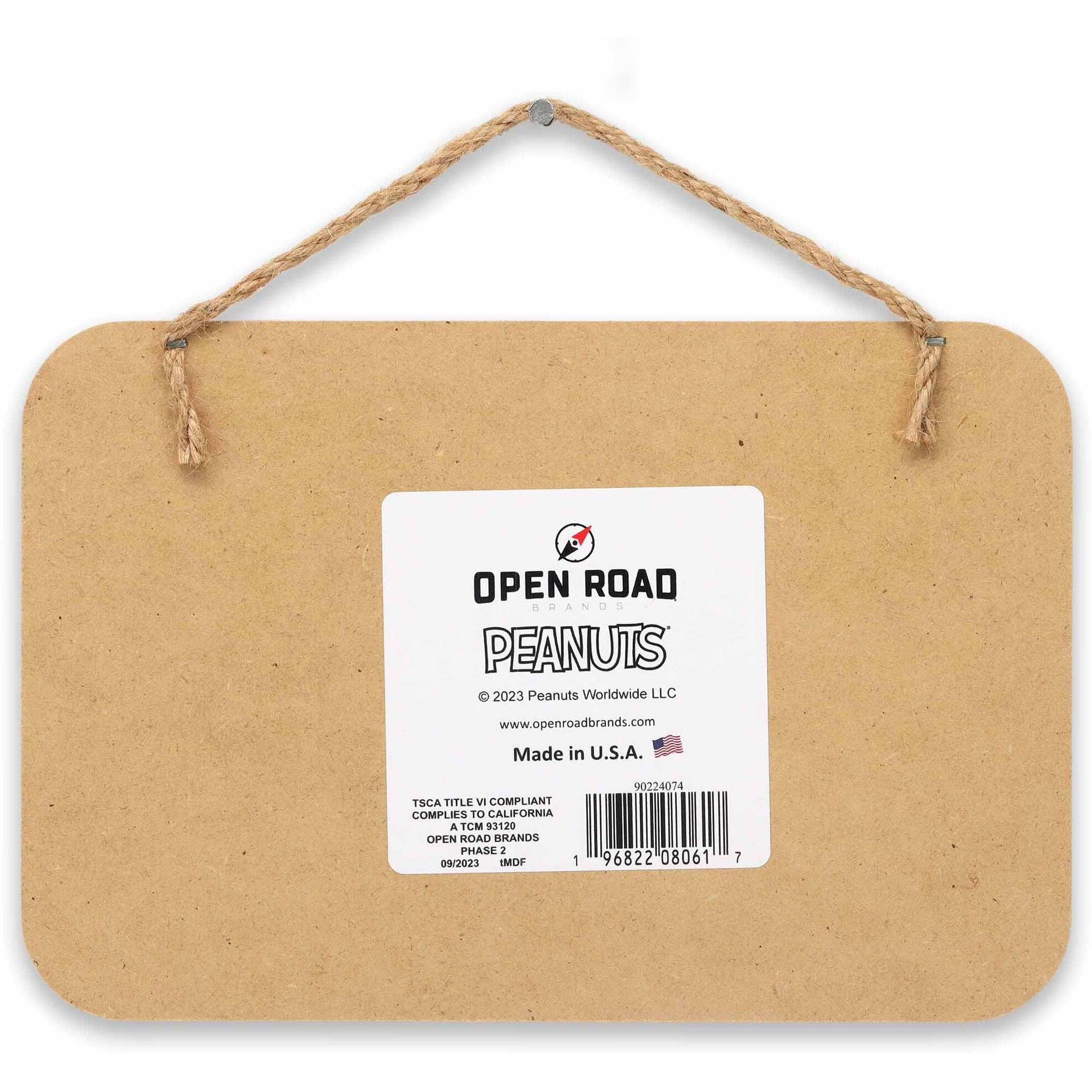 Peanuts Snoopy Friends Come In All Shapes And Sizes Hanging Wood Wall Decor - Adorable Snoopy Sign For Home Or Classroom