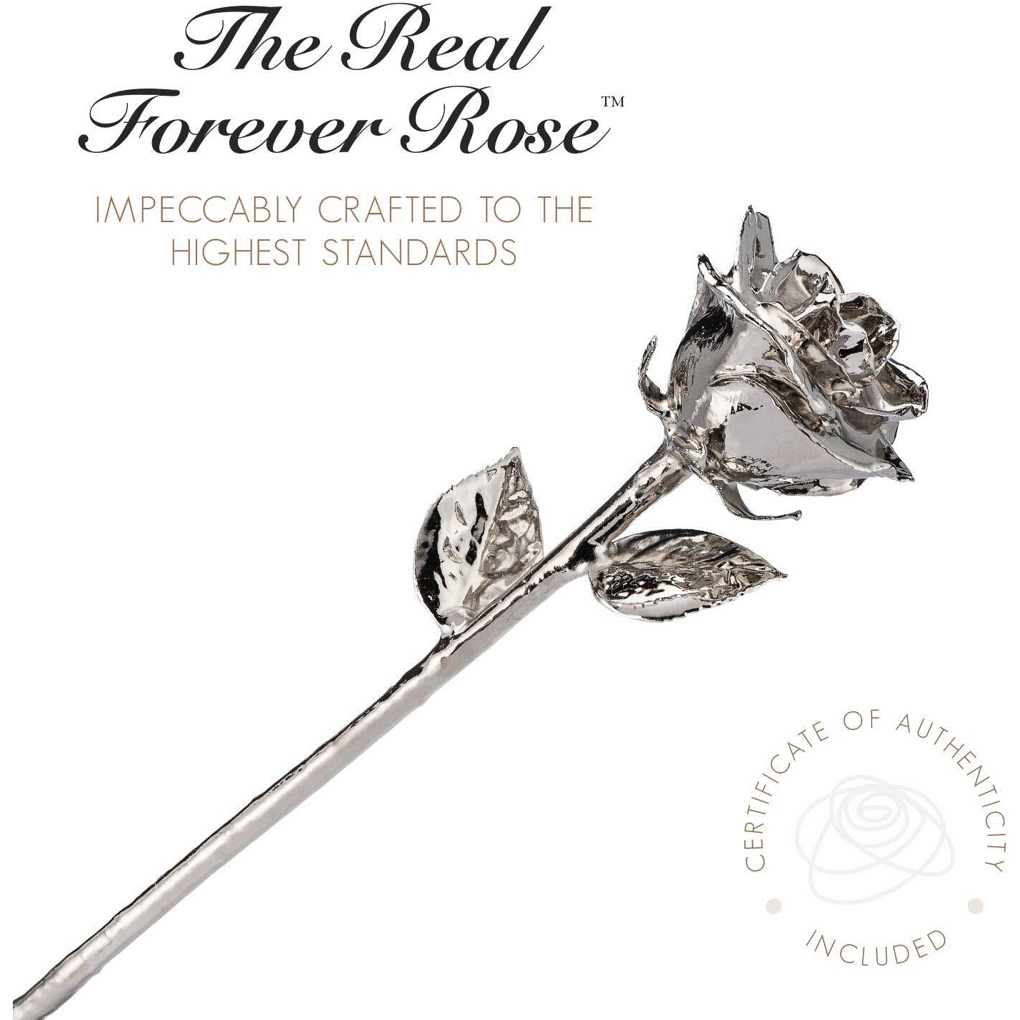 Forever Rose Real Platinum Rose  Genuine One Of A Kind Rose Hand Dipped In Platinum Roses To Last A Lifetime