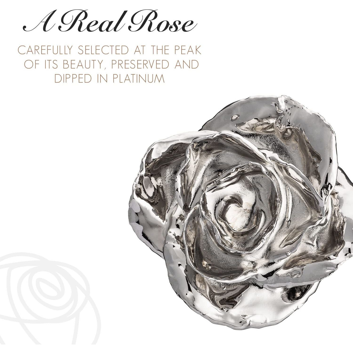 Forever Rose Real Platinum Rose  Genuine One Of A Kind Rose Hand Dipped In Platinum Roses To Last A Lifetime