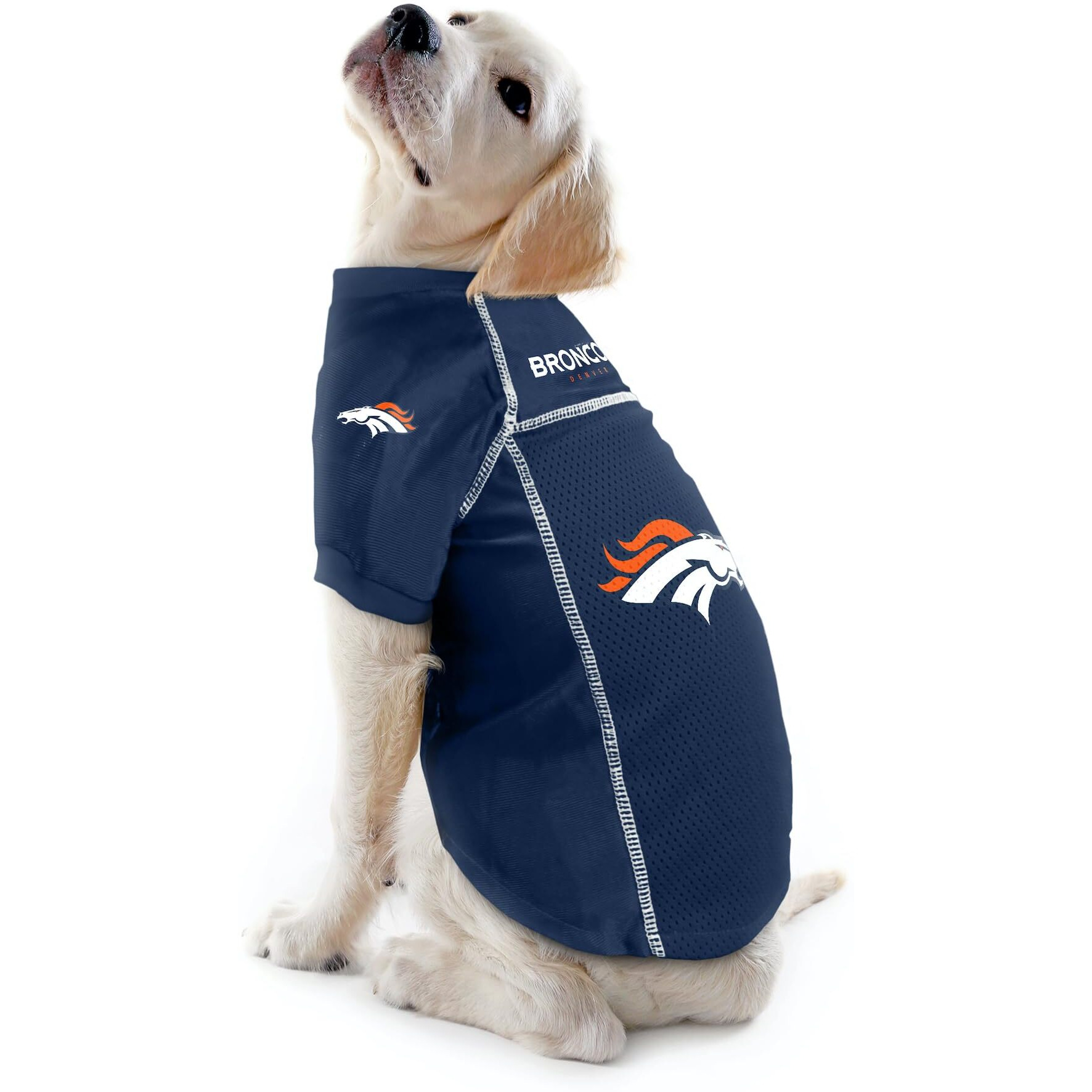 Littlearth Unisex-Adult Nfl Denver Broncos Basic Pet Jersey  Team Color  Large  (320134-Brnc-L)