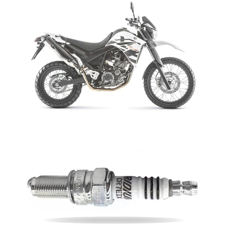 Ngk (7385) Cr7Eix Iridium Ix Spark Plug  Pack Of 1