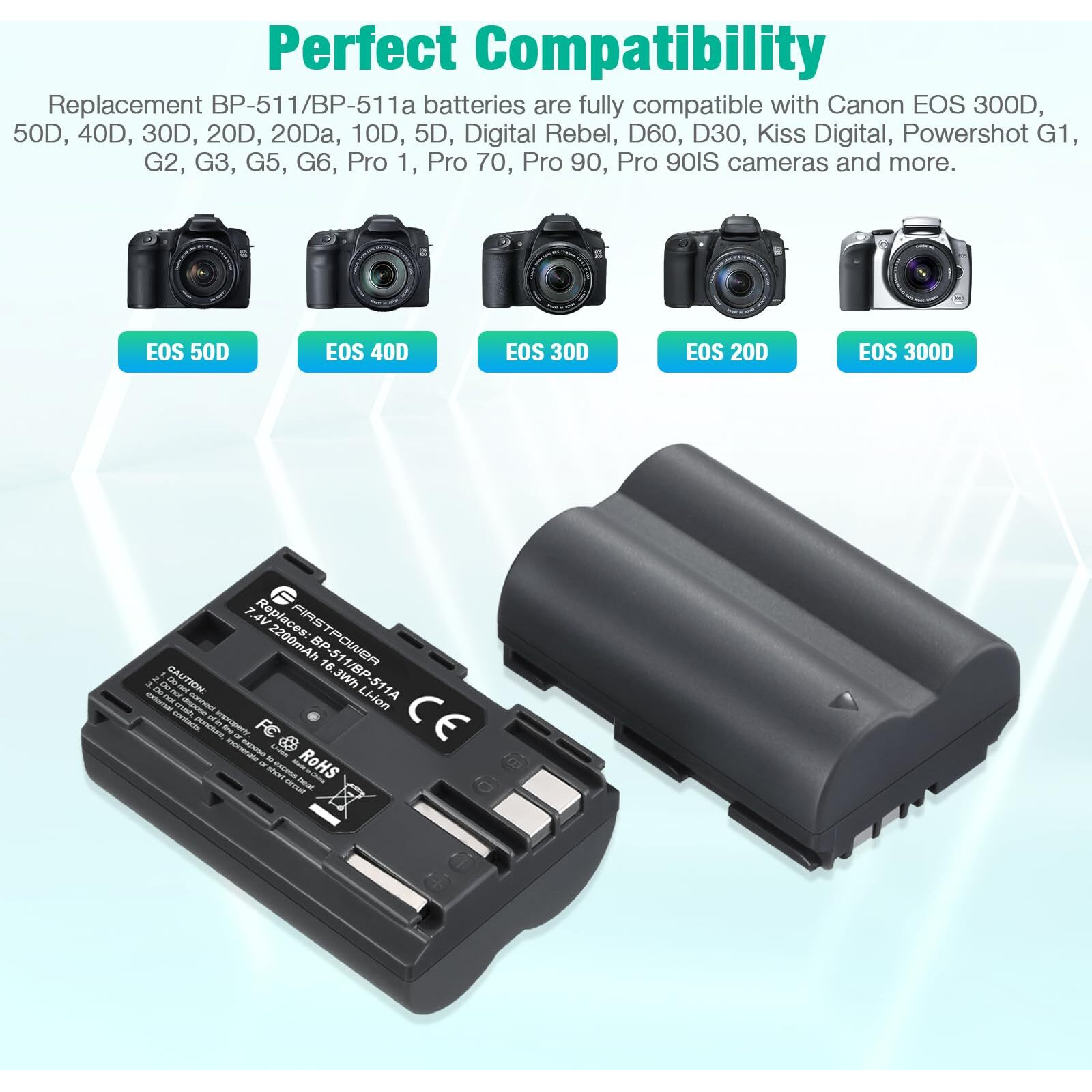 Firstpower Bp-511 Bp-511A Battery 2-Pack 2200Mah And Dual Usb Charger For Canon Eos 5D 10D 20D 20Da 30D 40D 50D 300D D30 D60 And More Camera