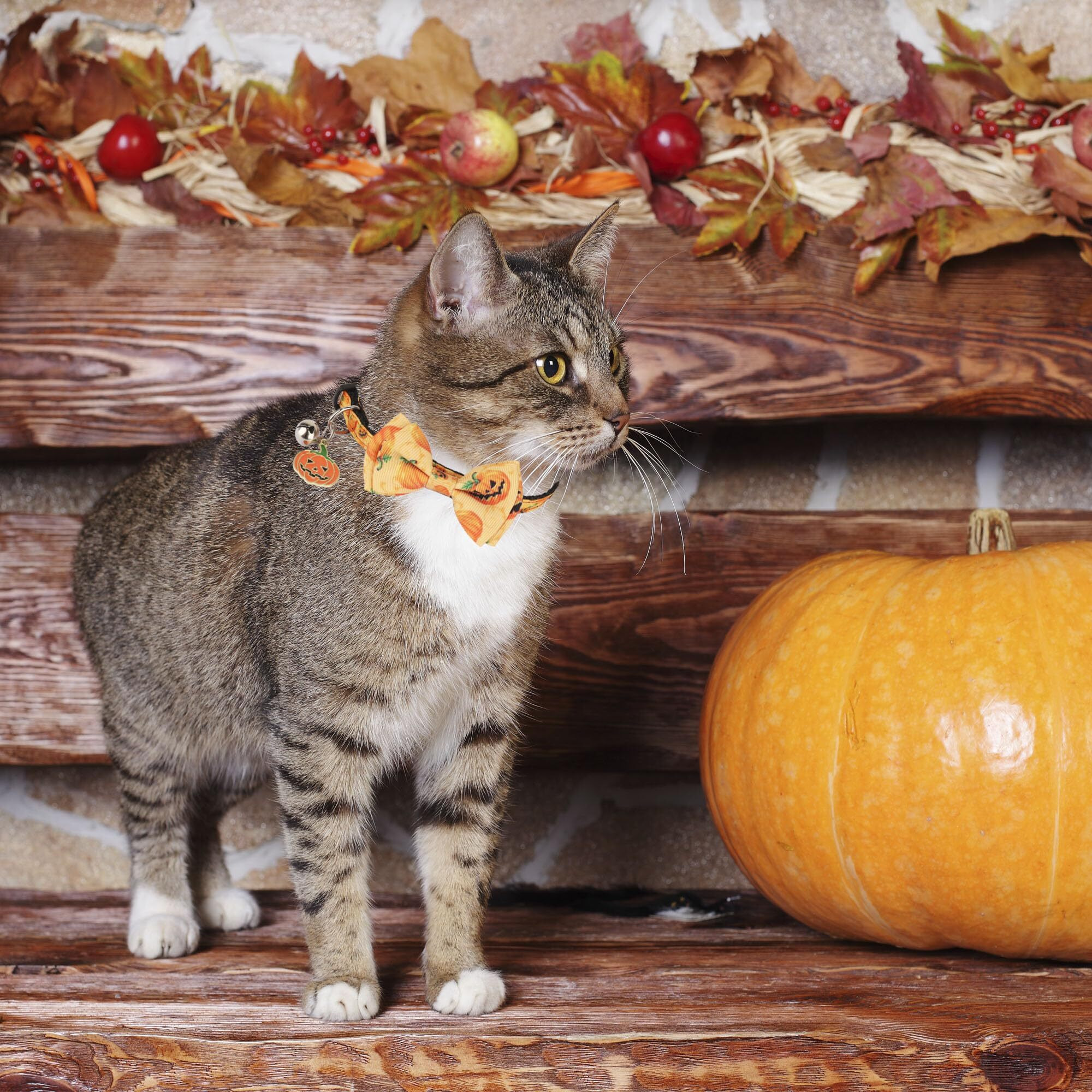 Adoggygo Halloween Cat Collars With Bow Bell  Breakaway Kitten Collar With Bowtie Pumpkin Ghost Halloween Collar For Girl Boy Cats Kittens