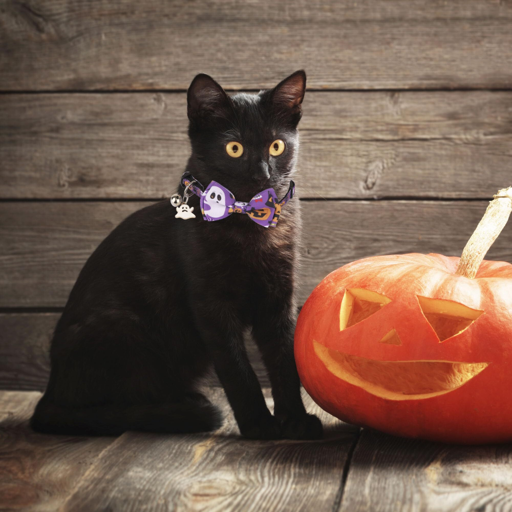 Adoggygo Halloween Cat Collars With Bow Bell  Breakaway Kitten Collar With Bowtie Pumpkin Ghost Halloween Collar For Girl Boy Cats Kittens