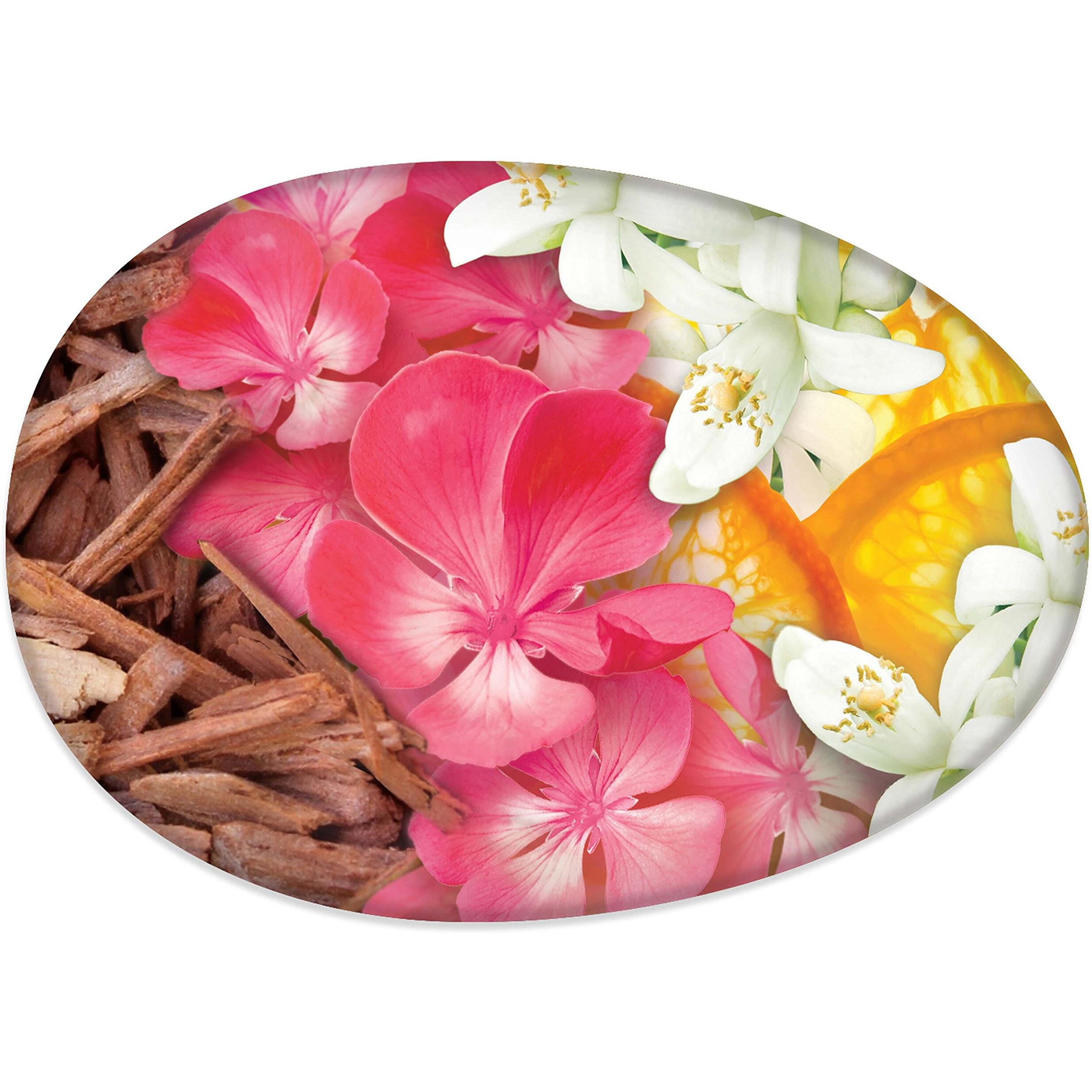 Caress Moisturizing Beauty Bar  Daily Silk  30 Oz (3.75Oz X 8)  8 Count