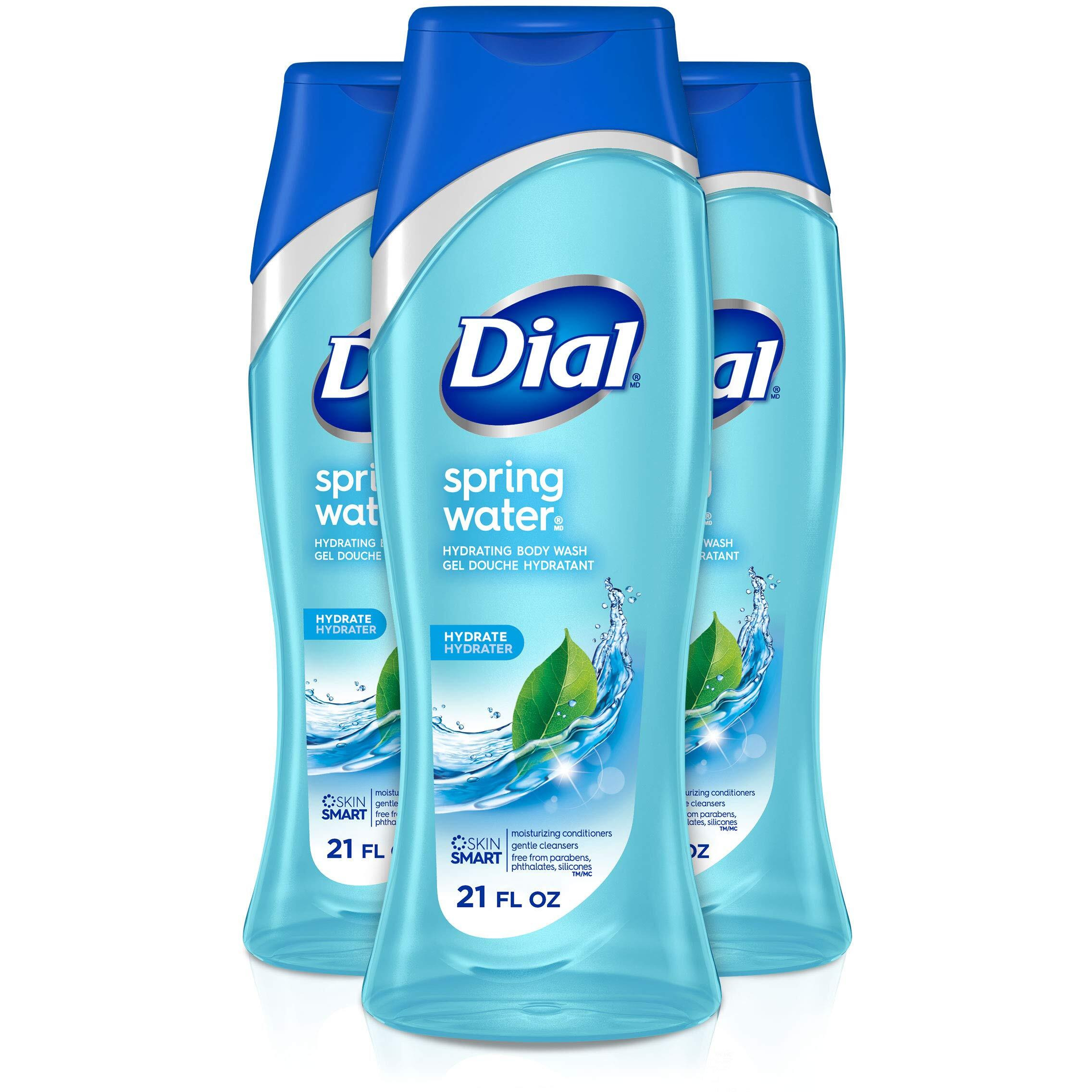 Dial Body Wash  Spring Water With All Day Freshness  21-Fluid Ounces (Pack Of 3)