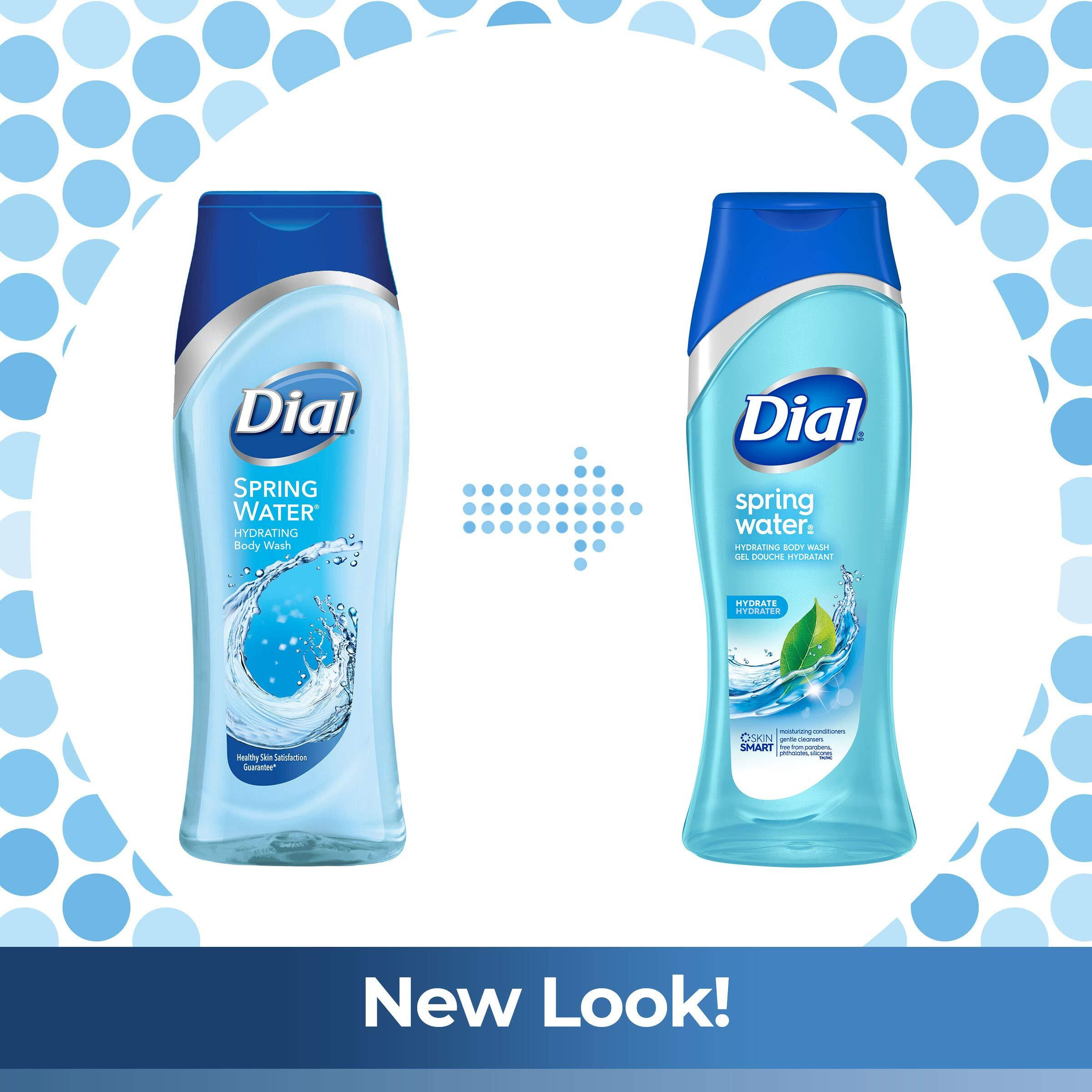 Dial Body Wash  Spring Water With All Day Freshness  21-Fluid Ounces (Pack Of 3)