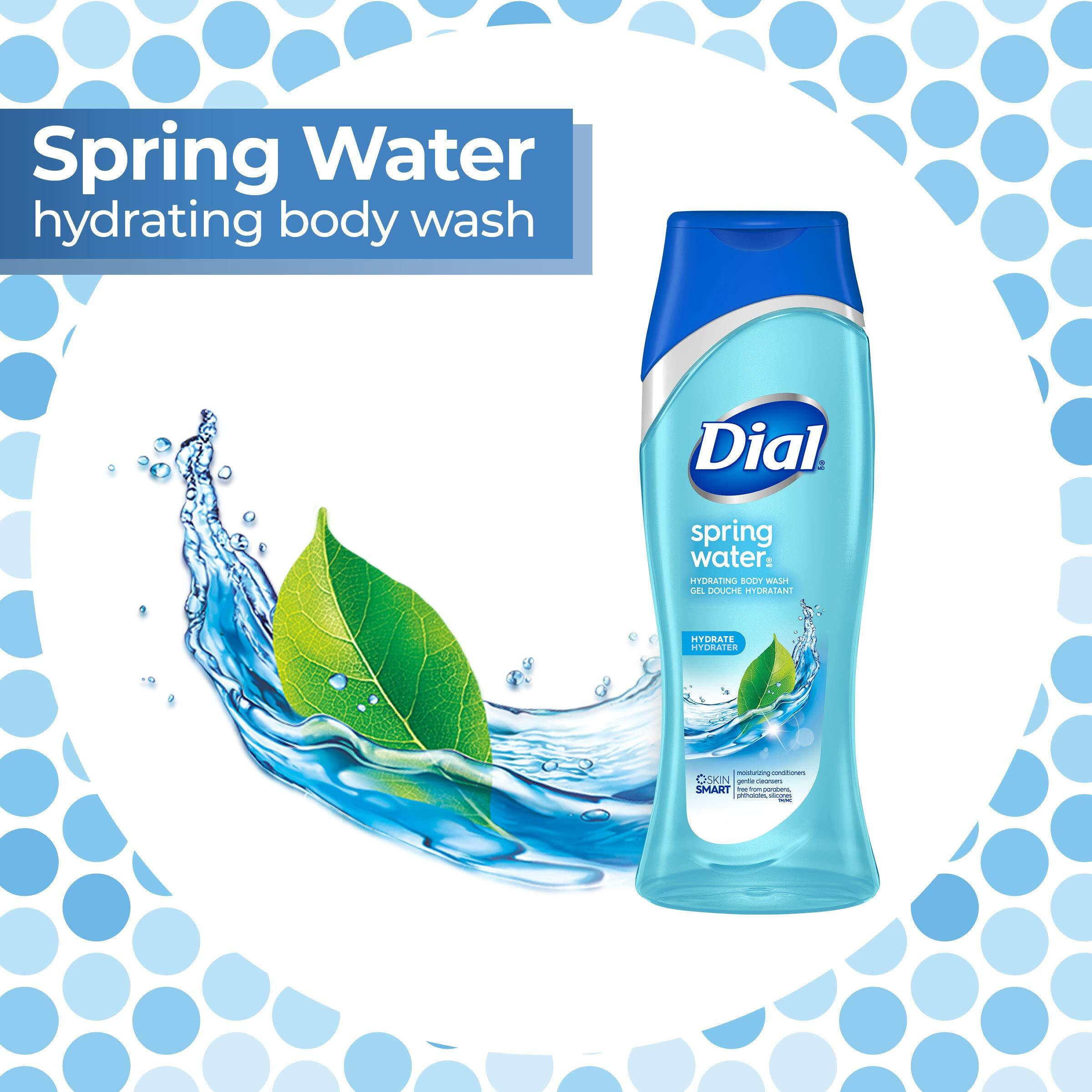 Dial Body Wash  Spring Water With All Day Freshness  21-Fluid Ounces (Pack Of 3)