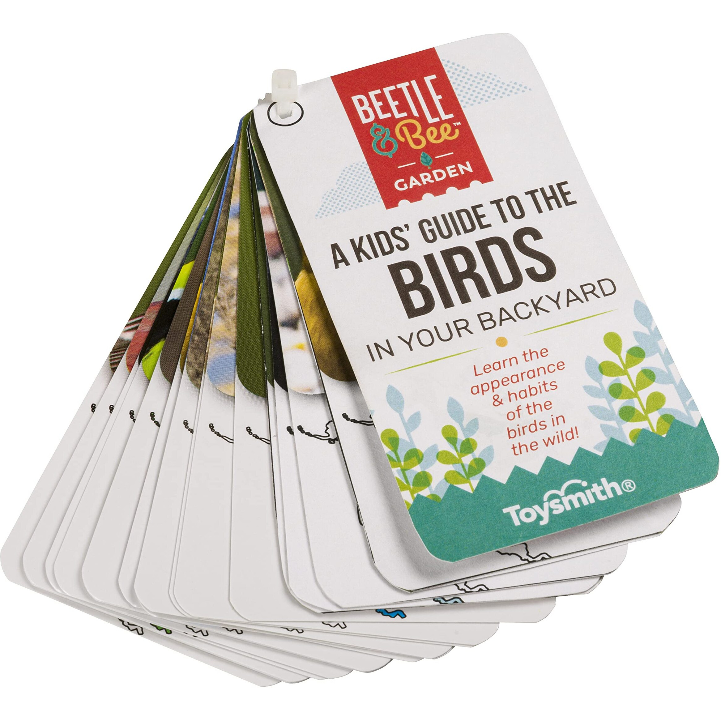 Beetle & Bee  Little Birder Set  Kids Backyard Bird Watching Set  Fsc Certified  For Boys & Girls Age 5+