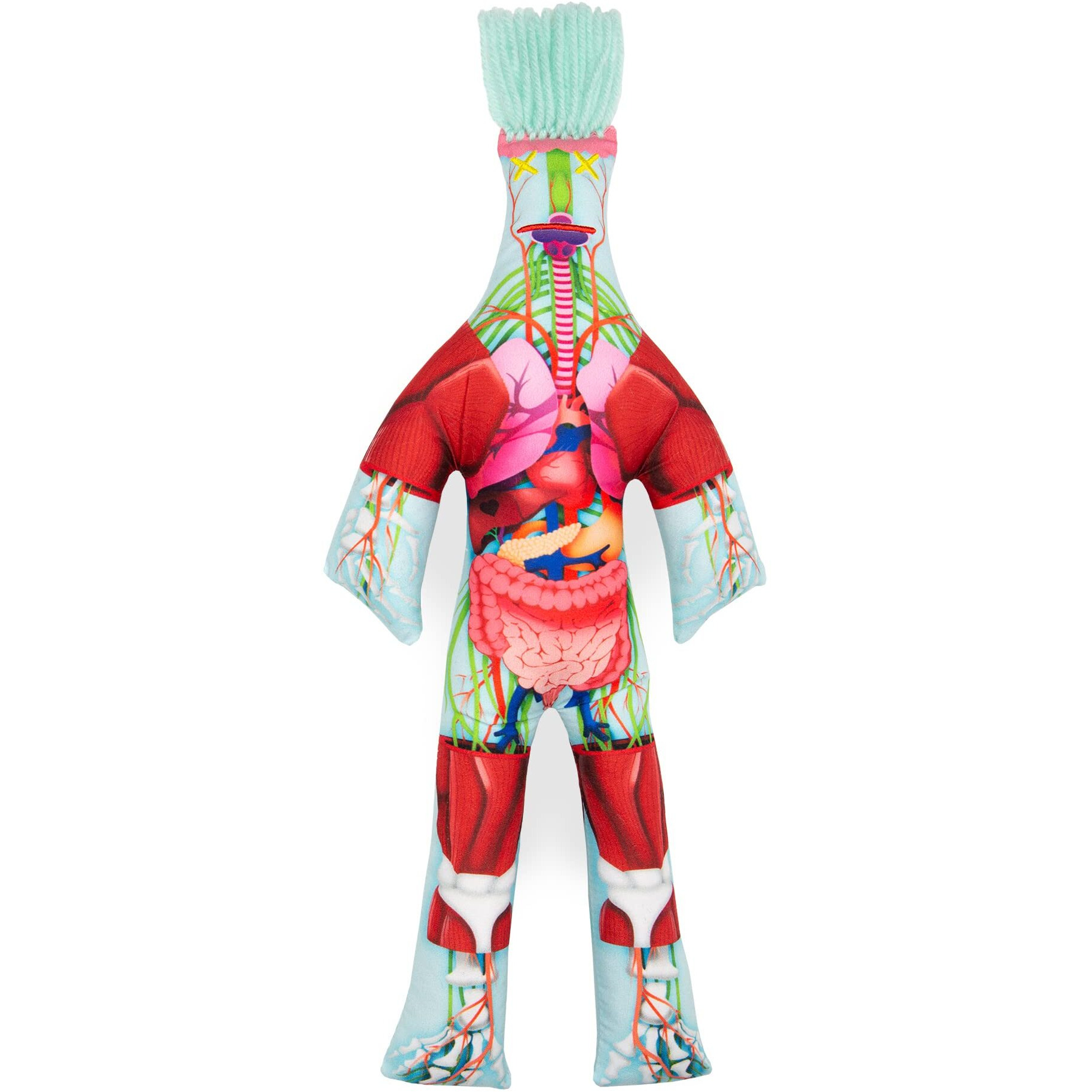 Dammit Doll - Limited Edition - Dammit Anatomy Doll- Stress Relief  Gag Gift