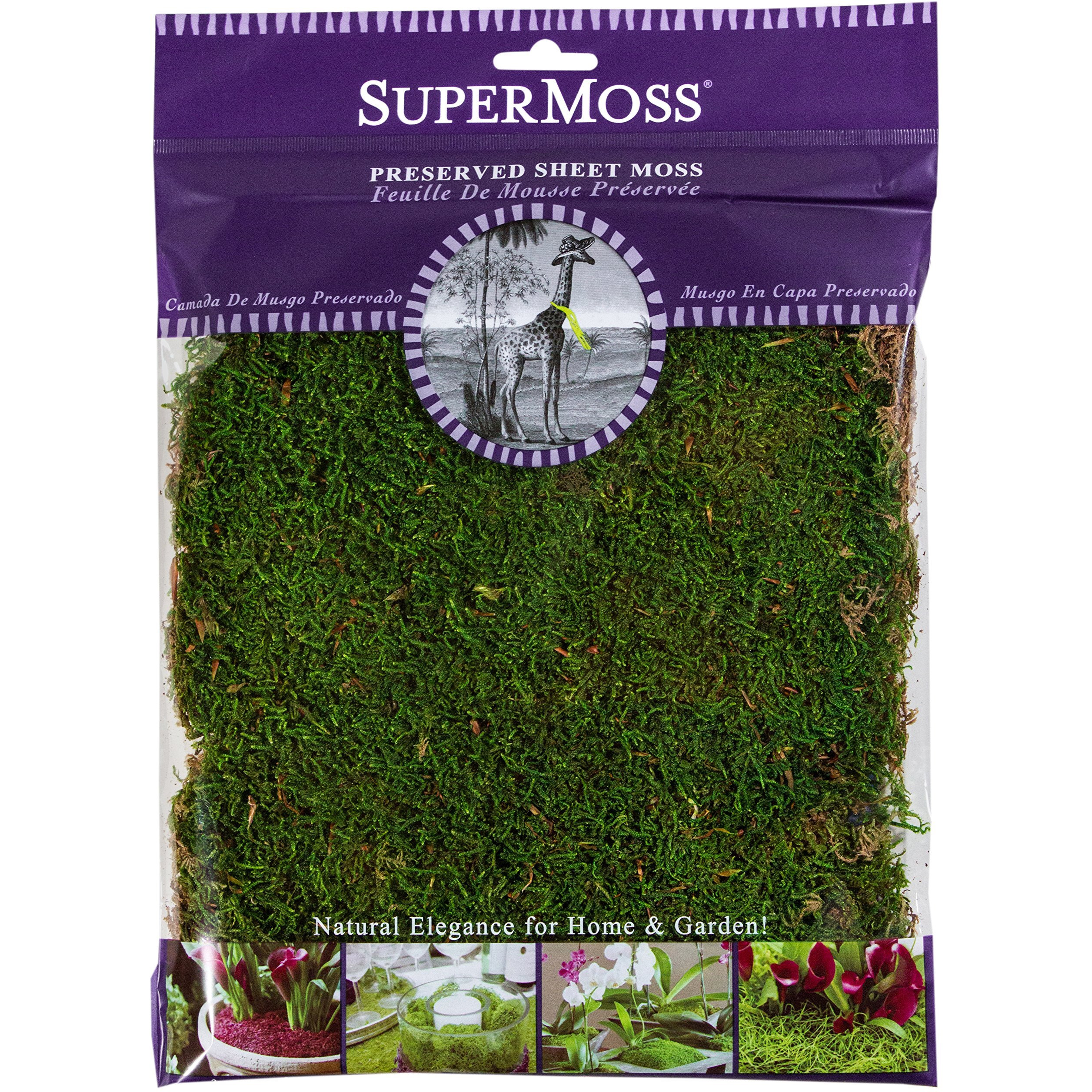 Supermoss (21509) Sheet Moss Preserved  Fresh Green  2Oz