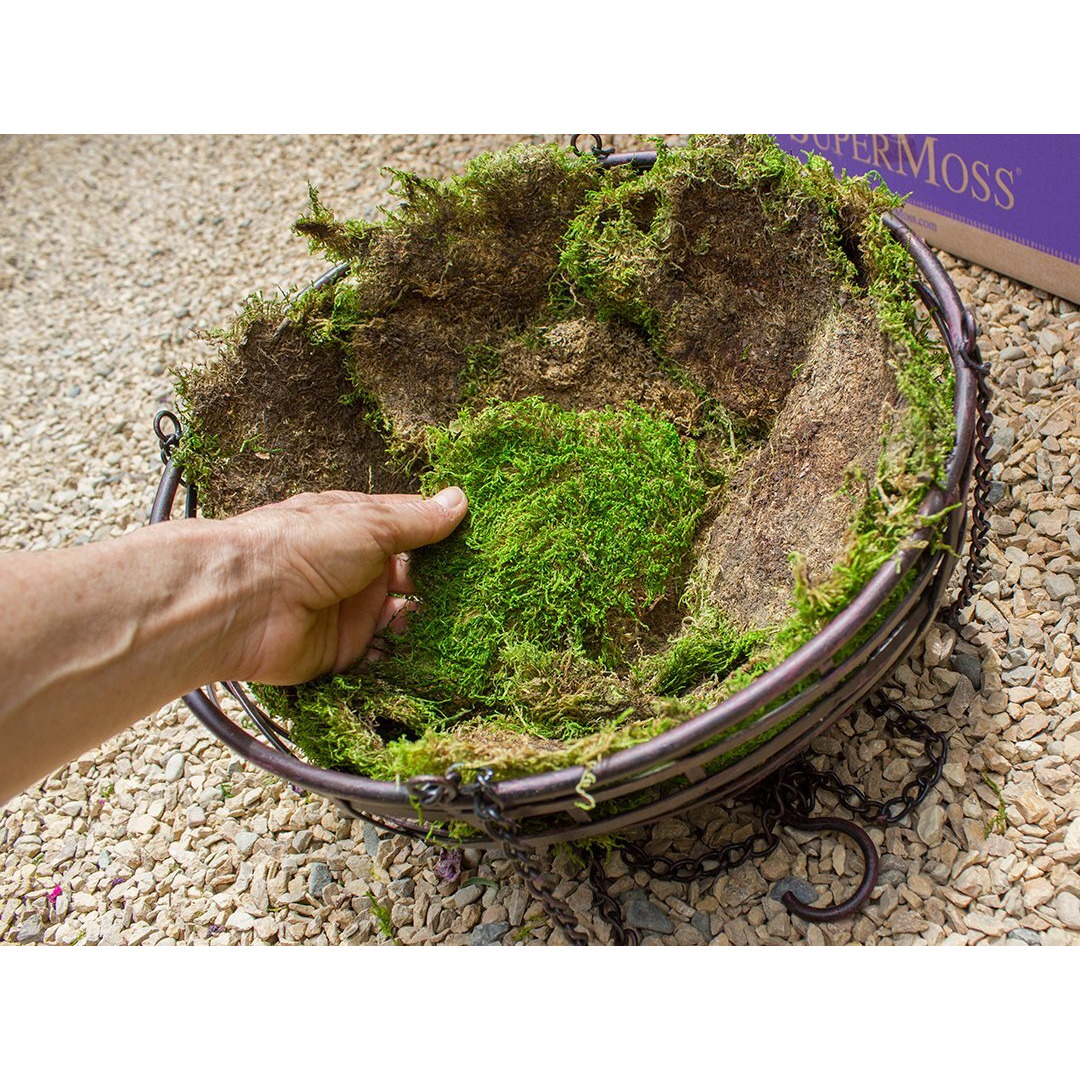 Supermoss (21509) Sheet Moss Preserved  Fresh Green  2Oz