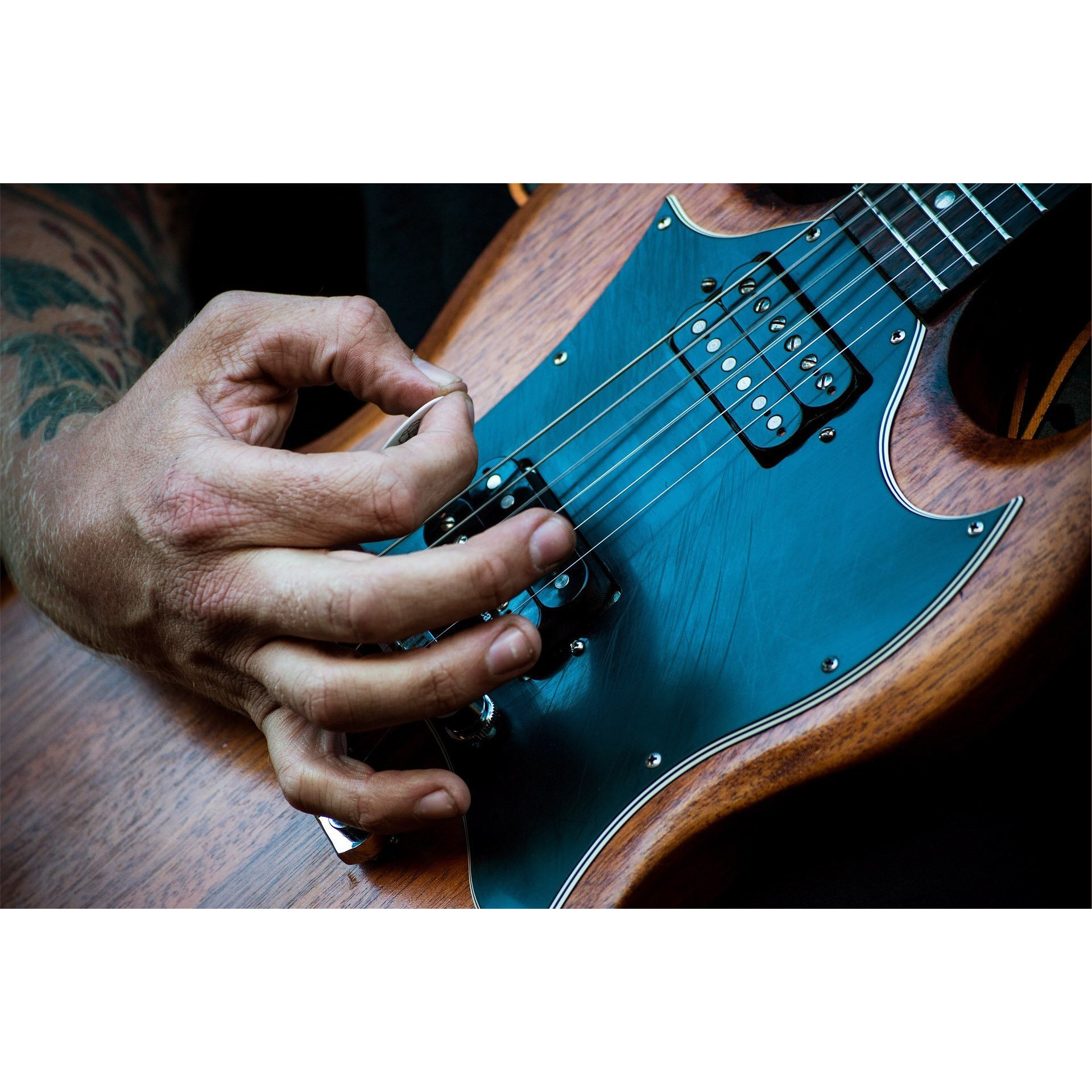 Snarling Dogs Brain Tnsdb351 1.14 Guitar Picks  12-Piece  Collectible Tin  Orange Nylon  0 1.14Mm