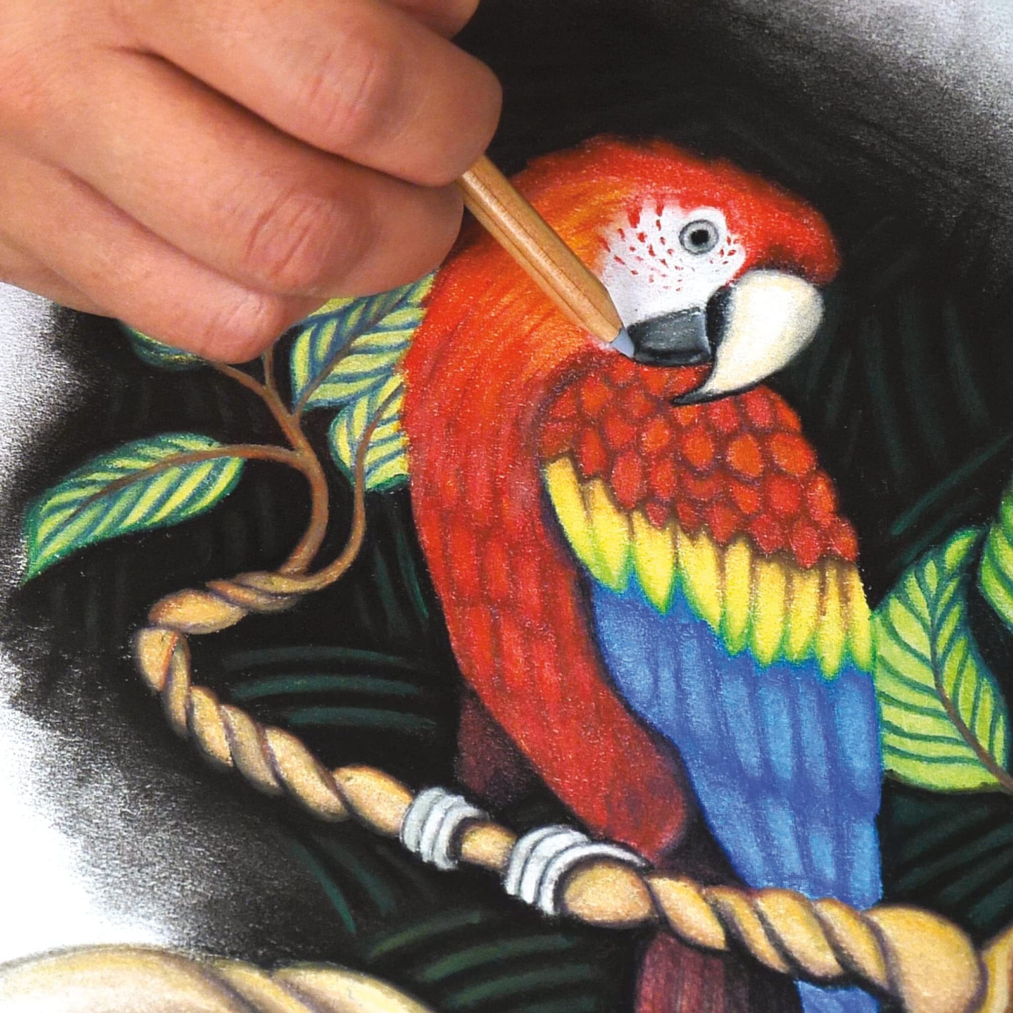 Grumbacher 5.5"" X 8.5"" Mixed Media Paper Pad With In & Out Pages  98 Lb. / 160 Gsm  Side Wire Bound  60 White Sheets/Pad  1 Each