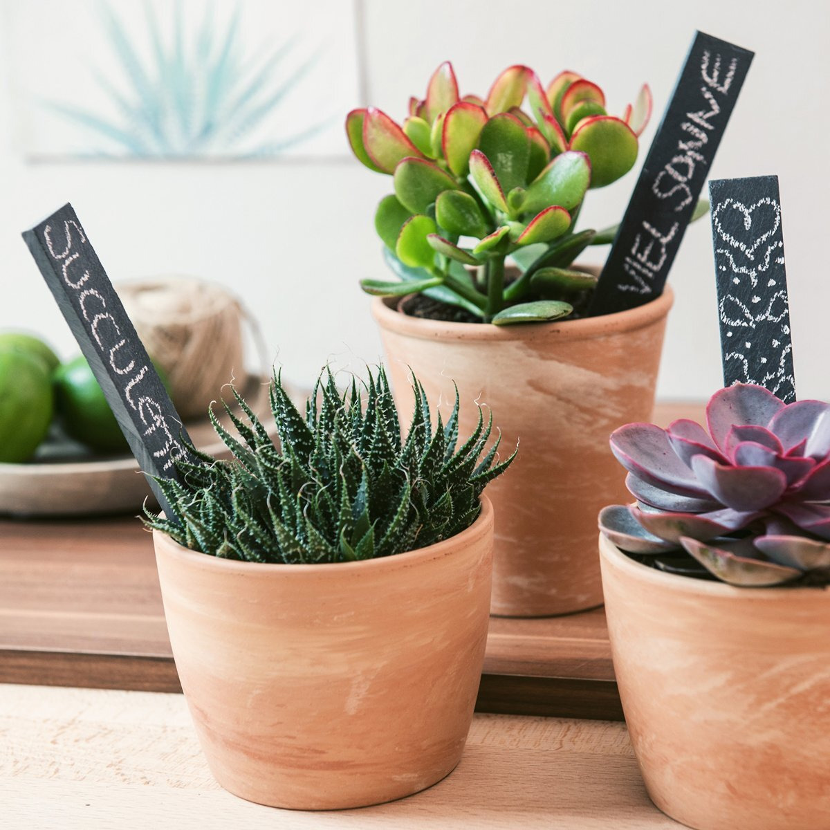 Navaris Slate Plant Labels (10 Pieces) - Set Of 10 Natural Slate Garden Markers For Herbs  Pots And Garden - Reusable Slate Tags With Chalk - Size M