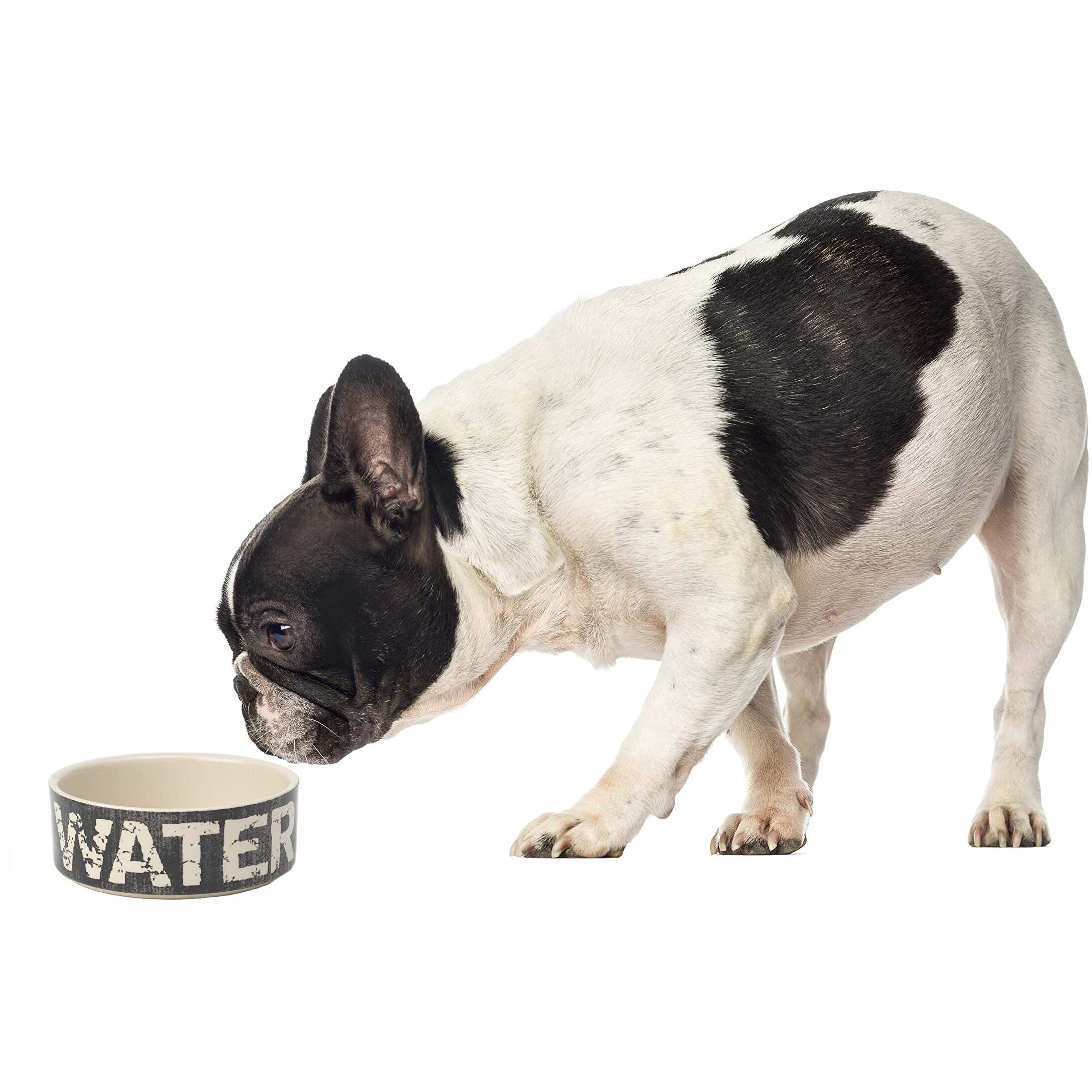 Petrageous 10001 Vintage Stoneware Dog Water Bowl With 2 Cup Capacity 5 Inch Diameter By 2 Inch Tall Great For Small And Medium Sized Dogs And Cats  Black And Natural