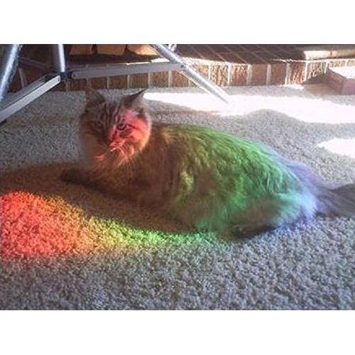 Diffraction Grating Sheet - Do-It-Yourself Sun Catcher - Bring Rainbows Into Your Home