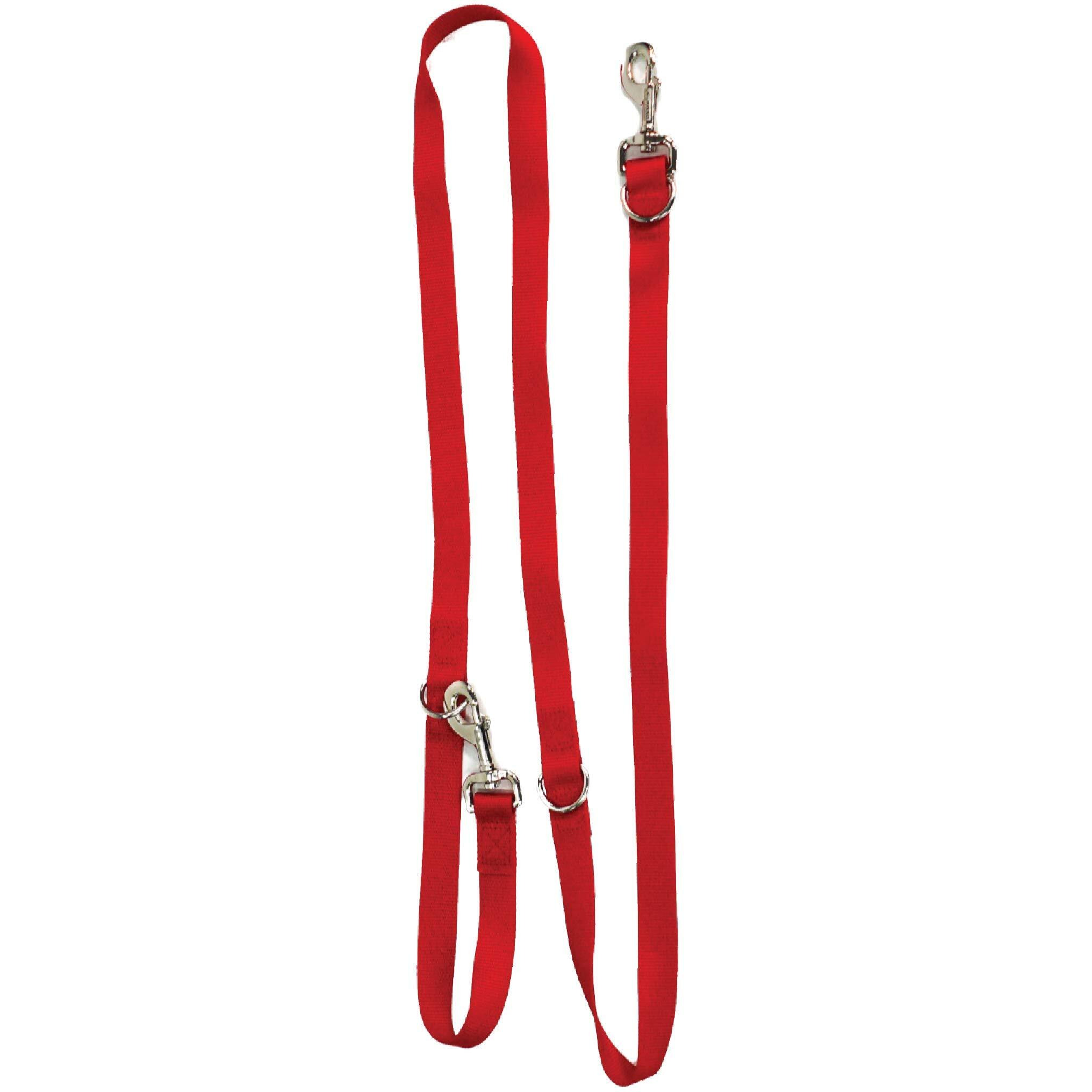 Blue-9 Multi-Function Hands Free Dog Leash  Double Attachment 6 Foot Adjustable Lead For Obedience  Running  And Agility Training (Red  Medium Large)