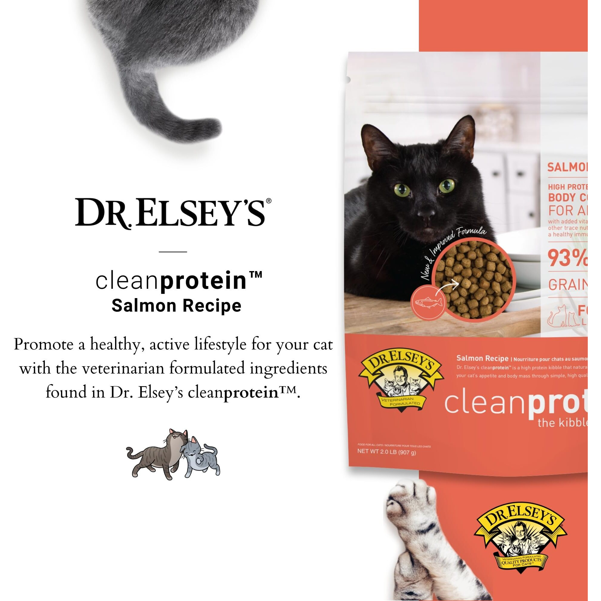 Dr. Elsey's Cleanprotein Salmon Formula Dry Cat Food  2 Pound (Pack Of 1)