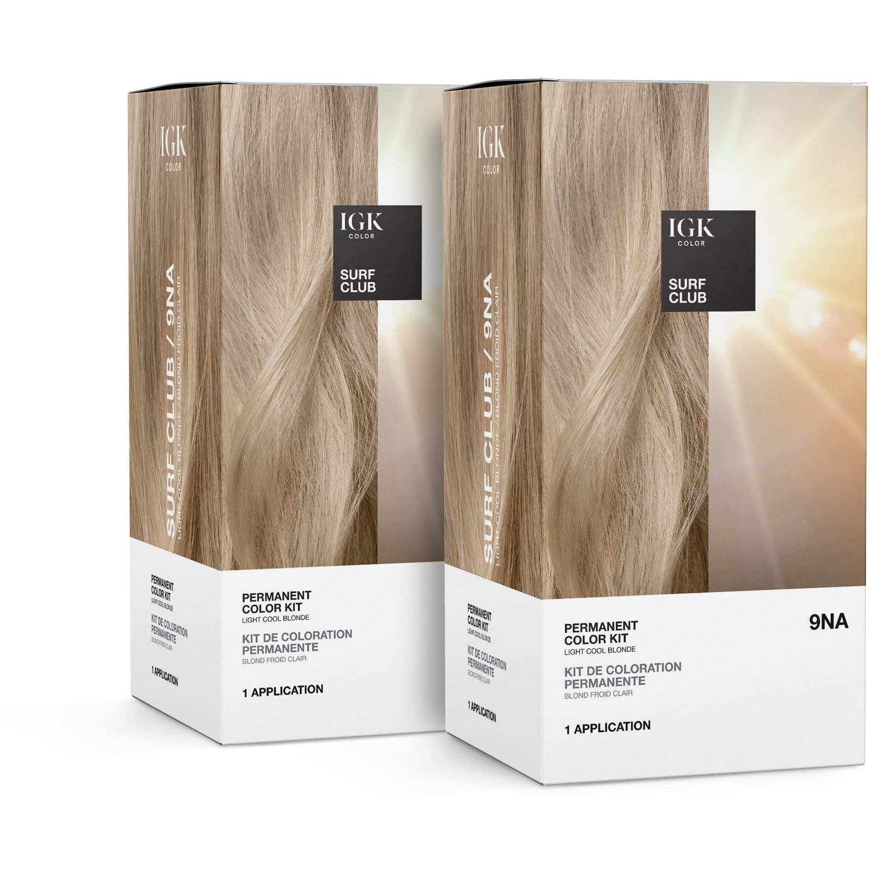 Igk Permanent Color Kit (2-Pack) Surf Club - Light Cool Blonde 9Na | Easy Application + Strengthen + Shine | Vegan + Cruelty Free + Ammonia Free |