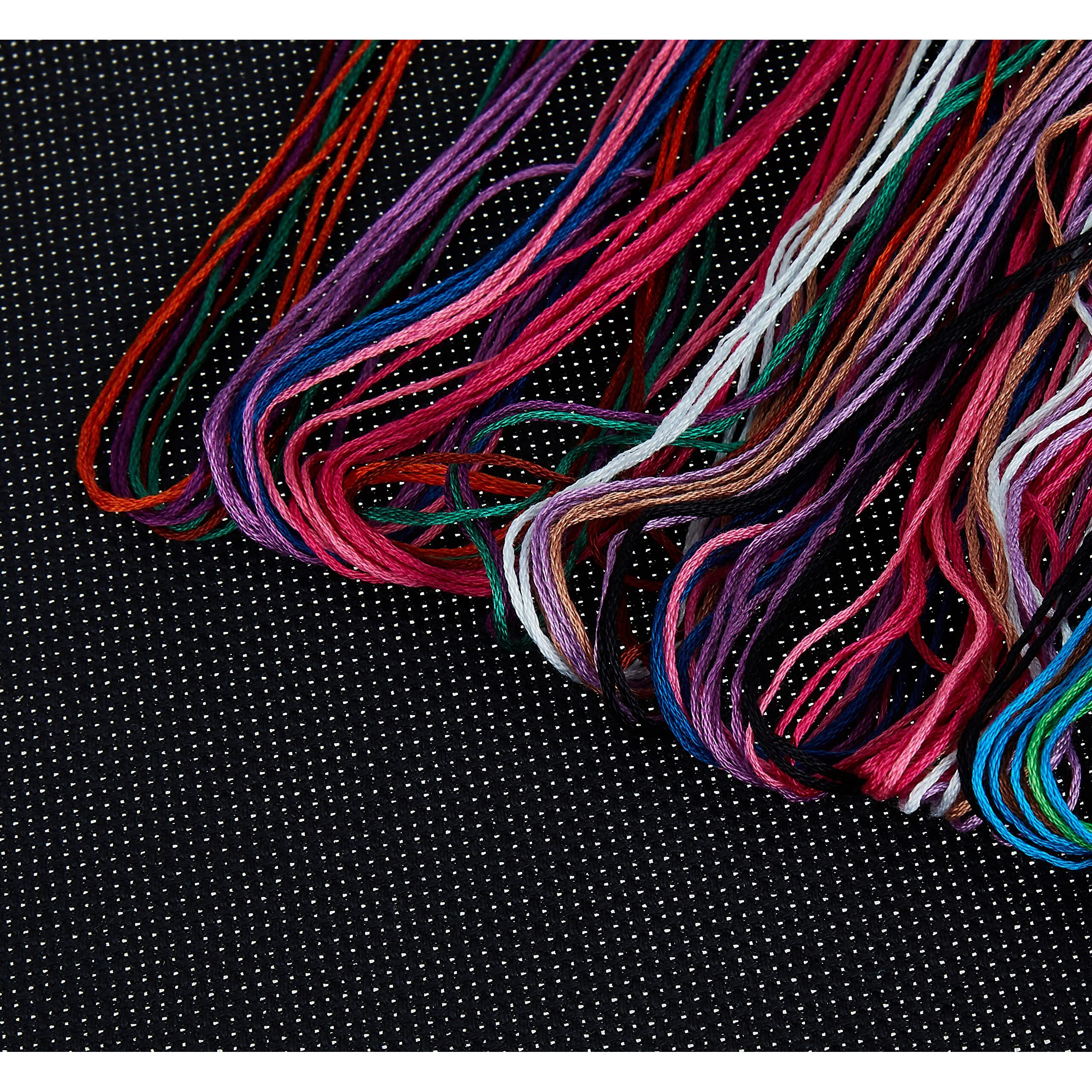 Dimensions 'A Whole Lotta Latte' Counted Cross Stitch Kit  14 Count Black Aida  11"" X 14""