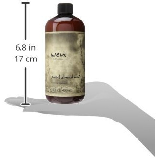 Chaz Dean Wen Cleansing Conditioner  Sweet Almond Mint  16 Ounce