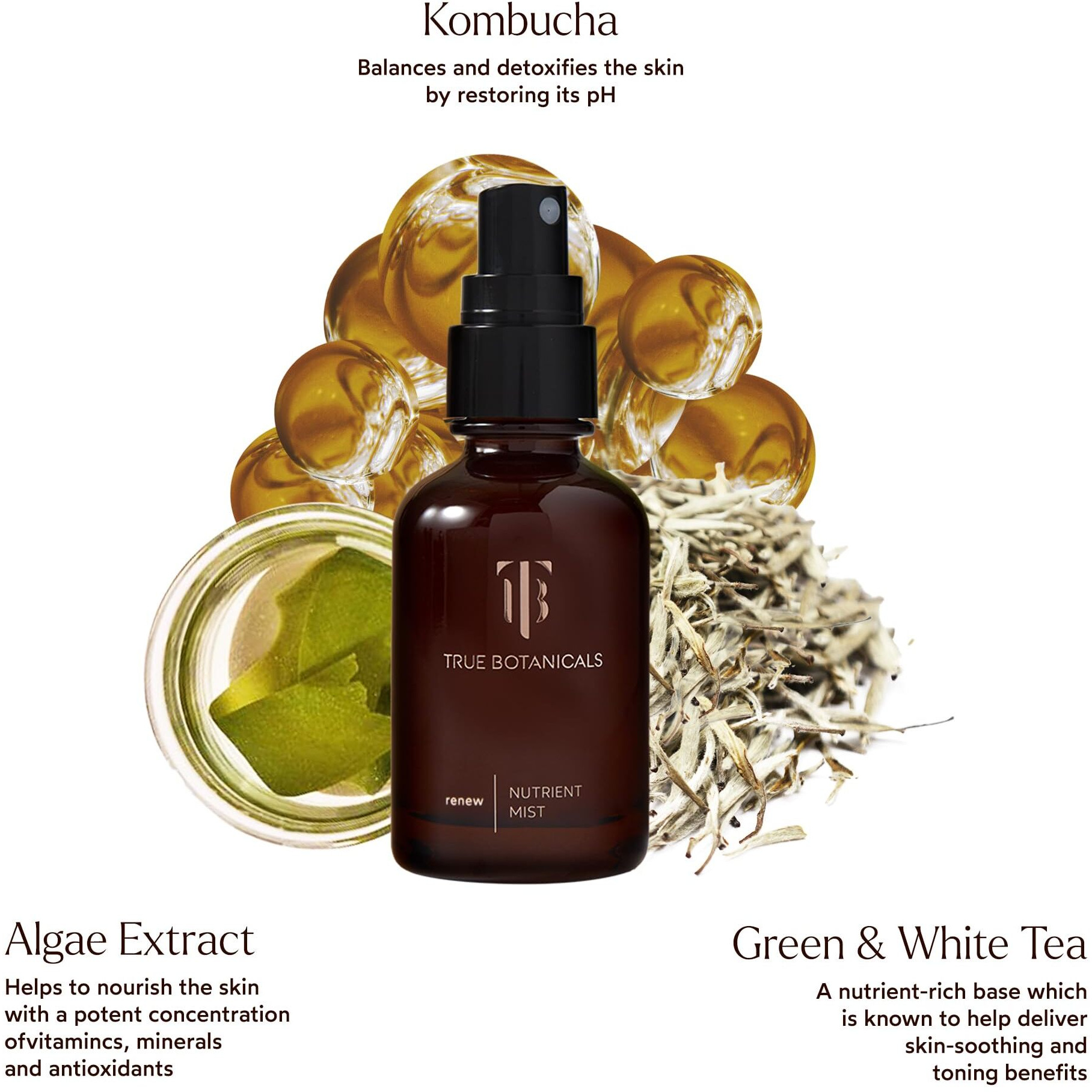 True Botanicals - Natural Renew Nutrient Face Mist | Non-Toxic  Cruelty-Free | Helps Hydrate  Nourish  + Helps Defend Skin From Pollution | Made Safe (1.7 Fl Oz | 50 Ml)