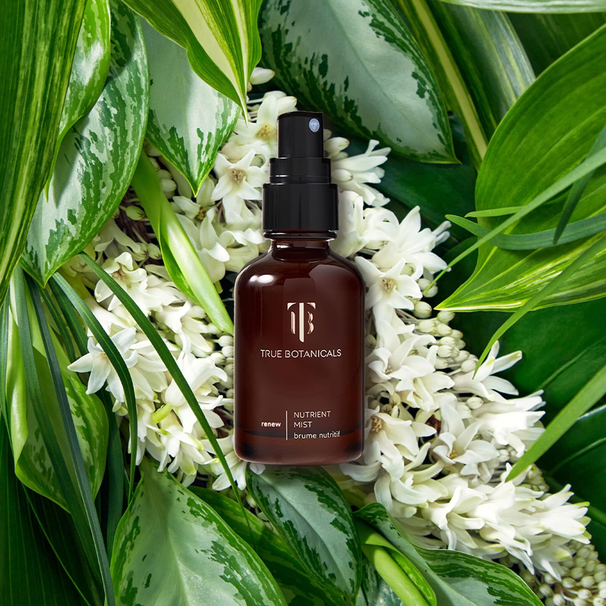 True Botanicals - Natural Renew Nutrient Face Mist | Non-Toxic  Cruelty-Free | Helps Hydrate  Nourish  + Helps Defend Skin From Pollution | Made Safe (1.7 Fl Oz | 50 Ml)