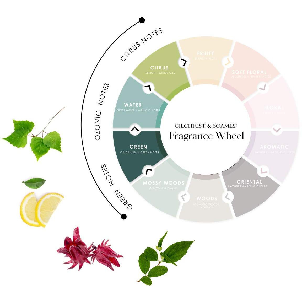 Gilchrist & Soames Shampoo (Zero% Collection Shampoo  15.5Oz)