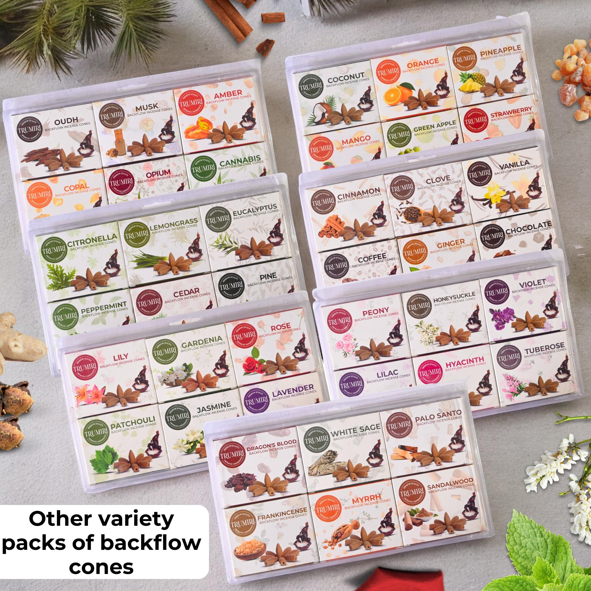Leafy - Backflow Incense Cones For Waterfall - Scented Inscents-Cones - Peppermint  Citronella  Pine  Cedar  Eucalyptus  Lemongrass - Insiensos Aromaticos - 6X1060 Large Variety Pack