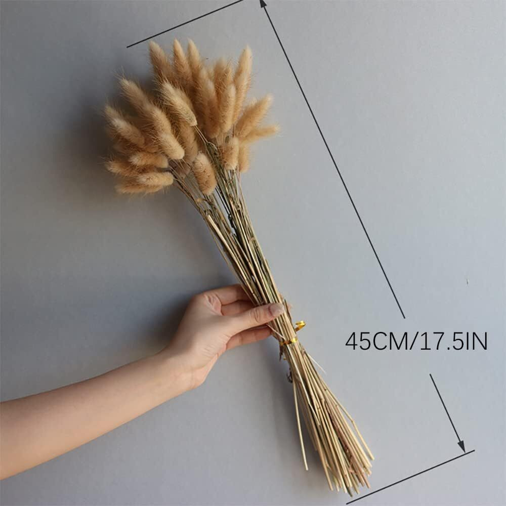 Donghome 120Pcs 17"" Bunny Tails Dried Flowers Brown Pampas Grass Natural Rabbit Tail Grass Dry Floral Arrangement For Boho Wedding Decor Baby Birthday Party