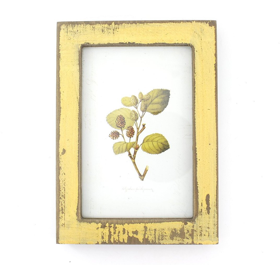 Zhenzan Frames 4X6 Inches Simple Rectangular Desktop Family Picture Photo Frame (Yellow)