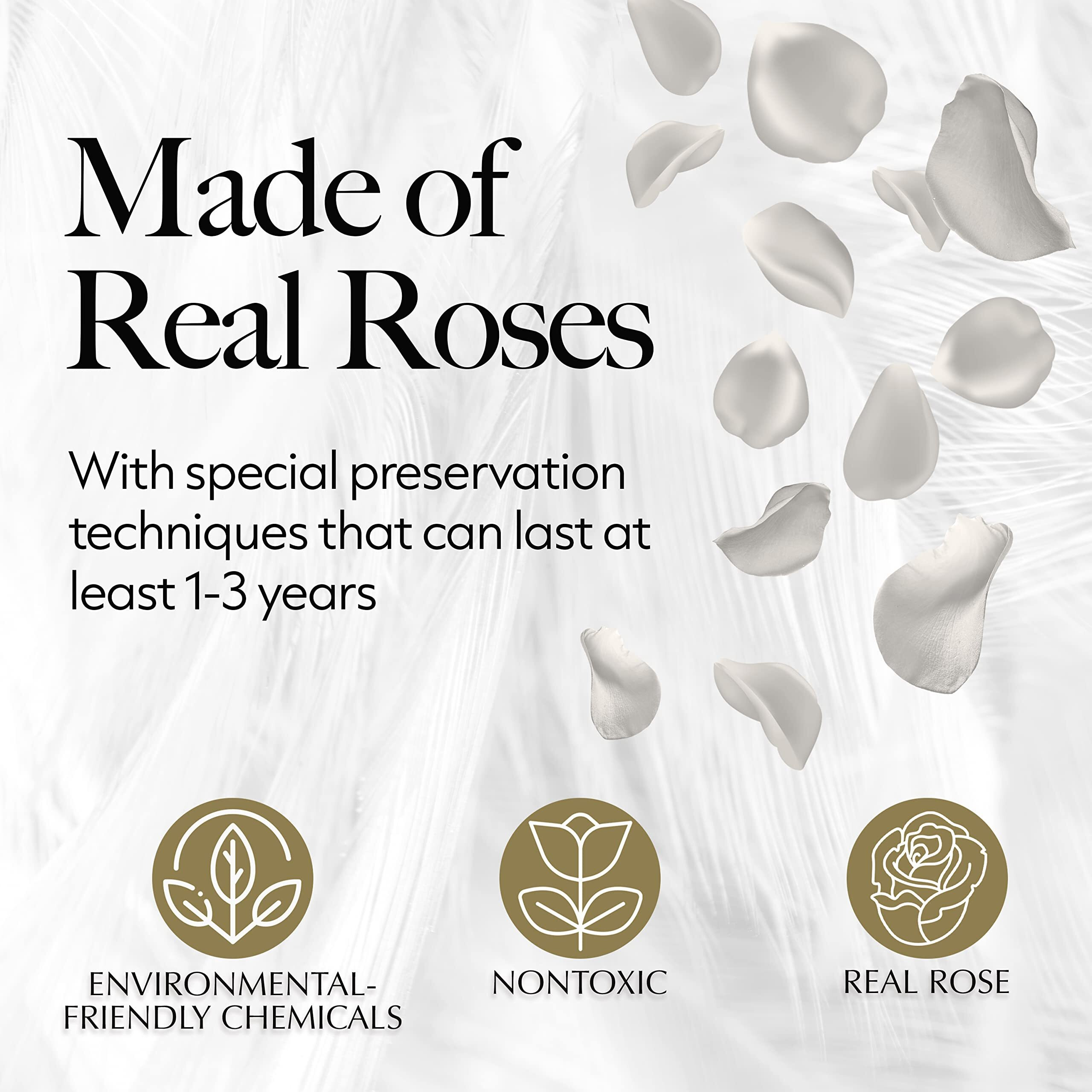 Glamour Boutique 27-Piece Forever Flowers Heart Shape Box - Preserved Roses  Immortal Roses That Last A Year - Eternal Rose Preserved Flowers For Delivery Prime Mothers Day & Valentines Day - White