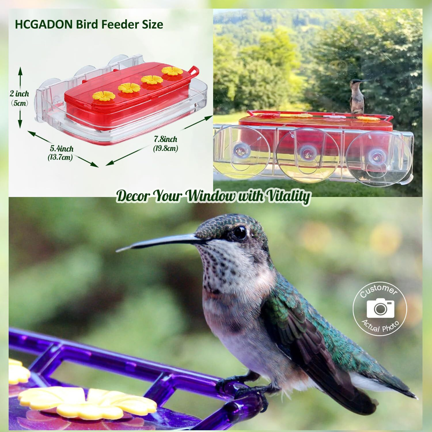Hcgadon Window Hummingbird Feeder  Plastic Humming Bird Feeder With 3 Strong Suction Cups  Easy To Clean And Refil Built-In Moat (10Oz) (2  Red)