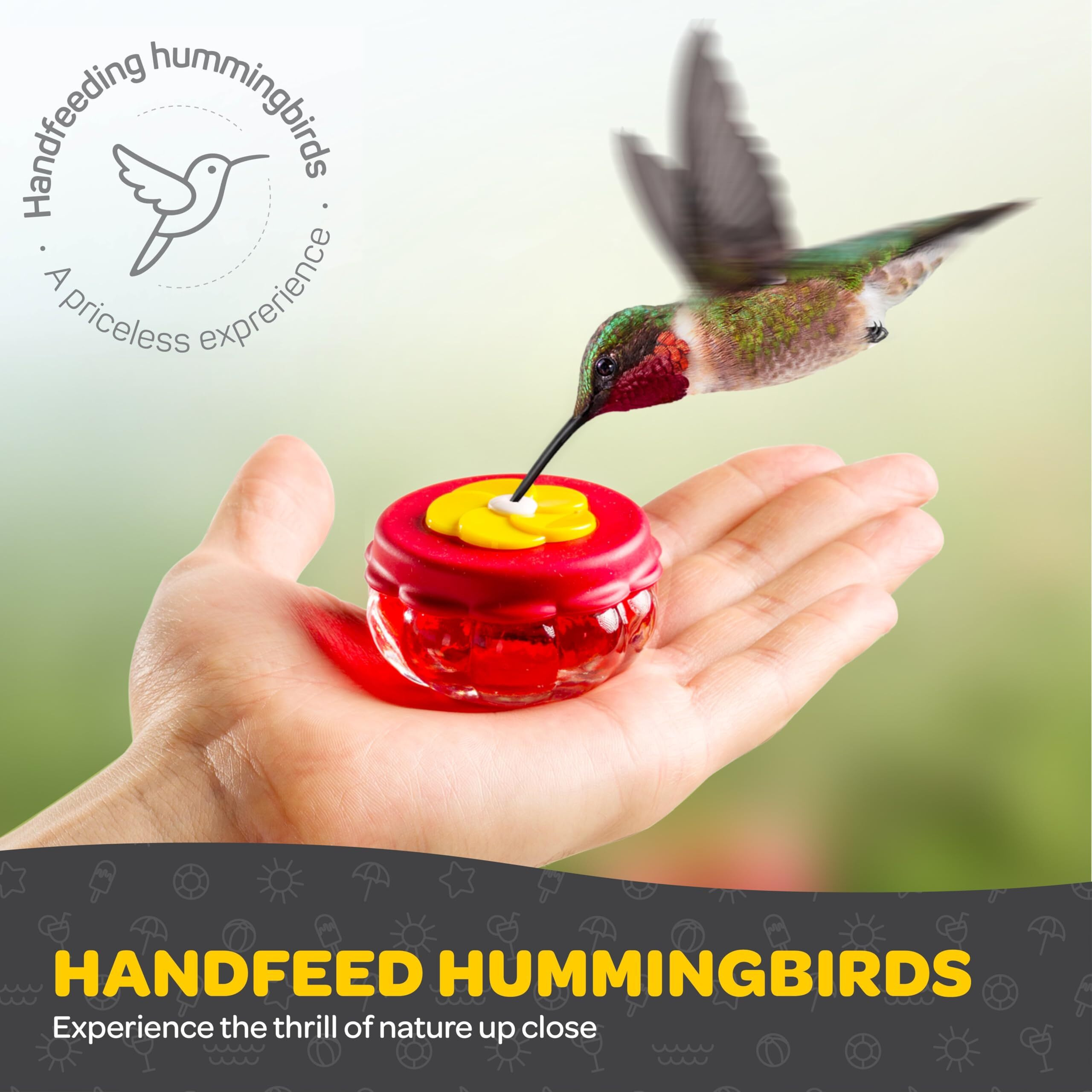 Handheld Hummingbird Feeders (Set Of 4) Small Hummingbird Feeder Glass With Window Suction Mount Base - Window/Handheld Or Tabletop Mini Humming Bird Feeders  Hummingbird Feeders For Outdoors