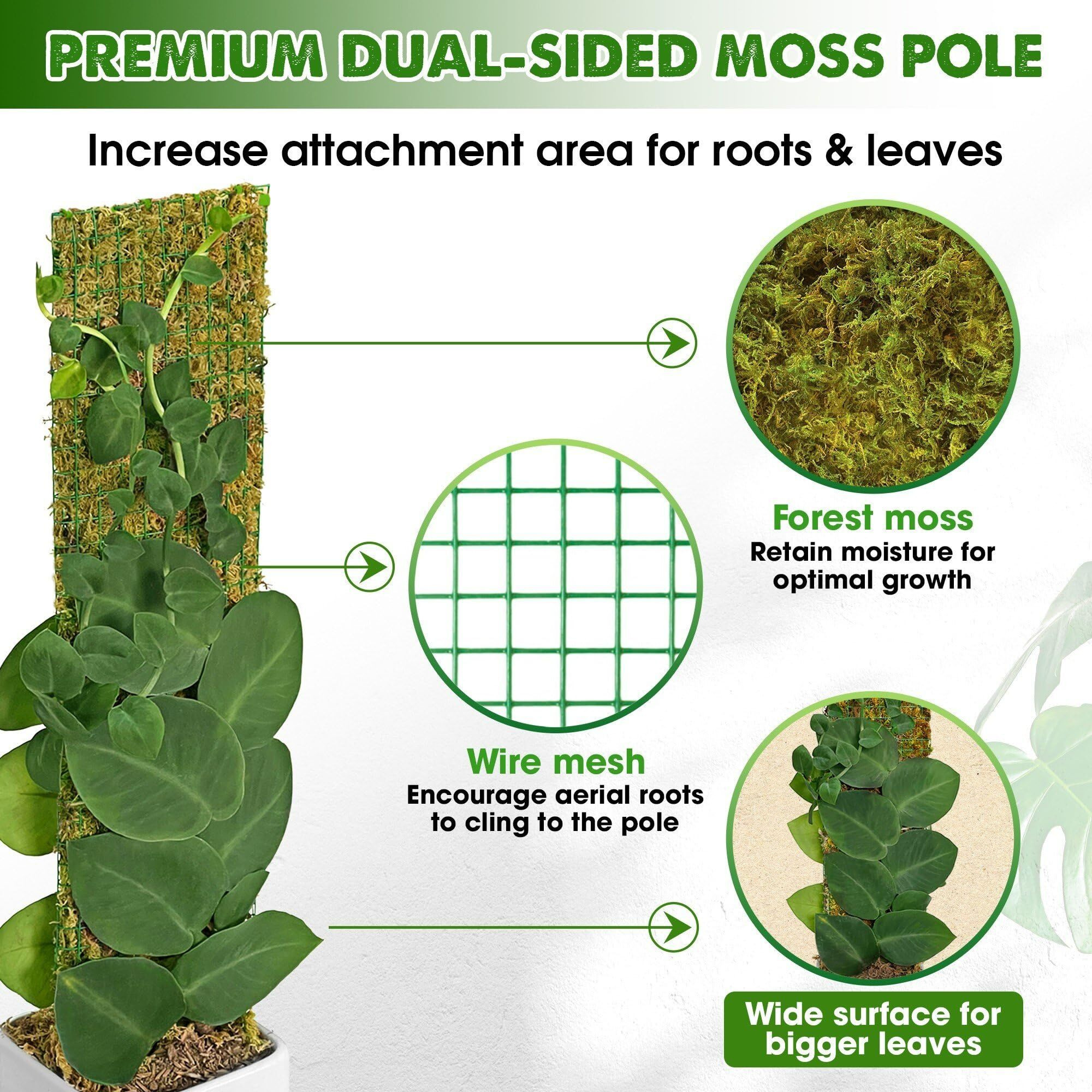 Duspro Flat Mesh Moss Poles For Climbing Plants Monstera Stackable Moss Pole For Plants With Real Moss Moss Plant Pole For Potted Plants Handmade Moss Stick For Indoor Plants Grow Upward 2 Pack 22
